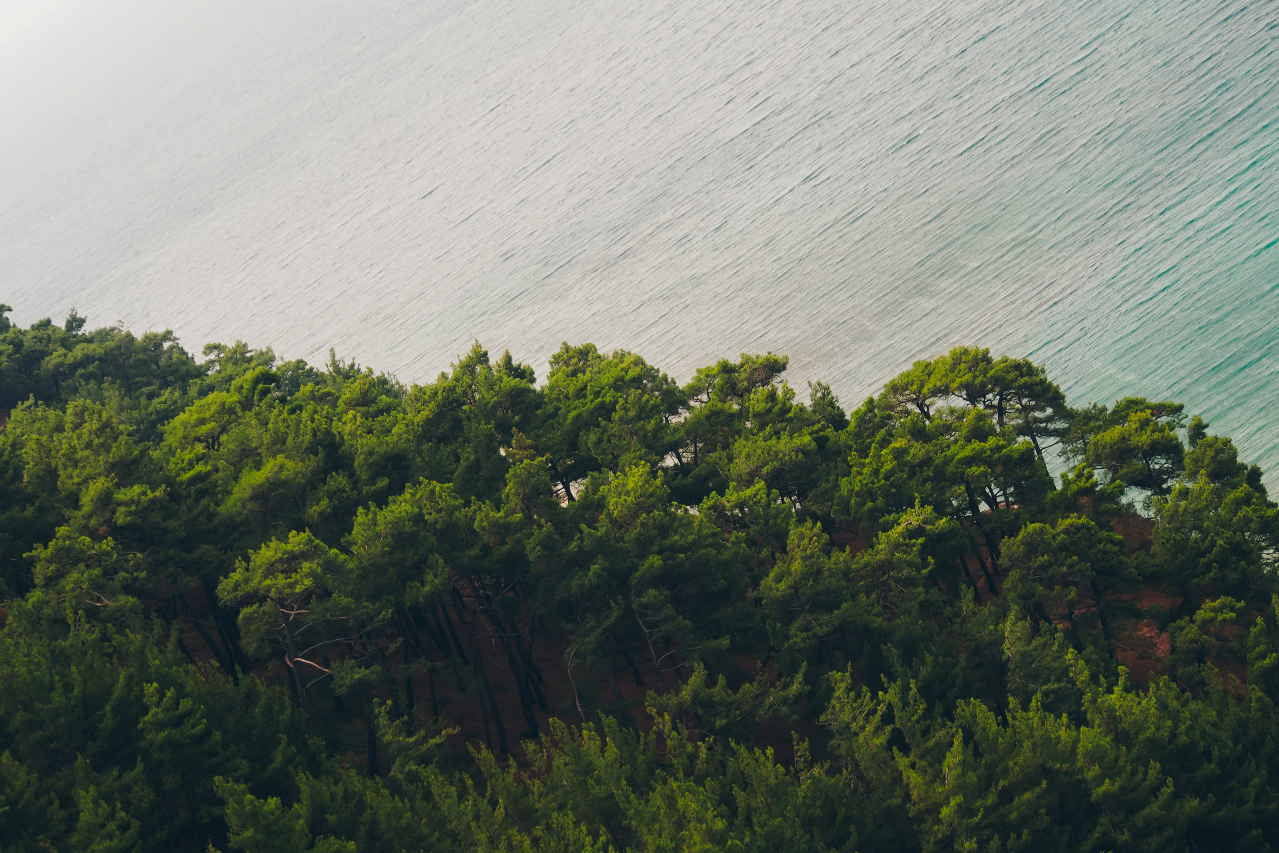 Черное море. Свадебный фотограф Копков Геннадий