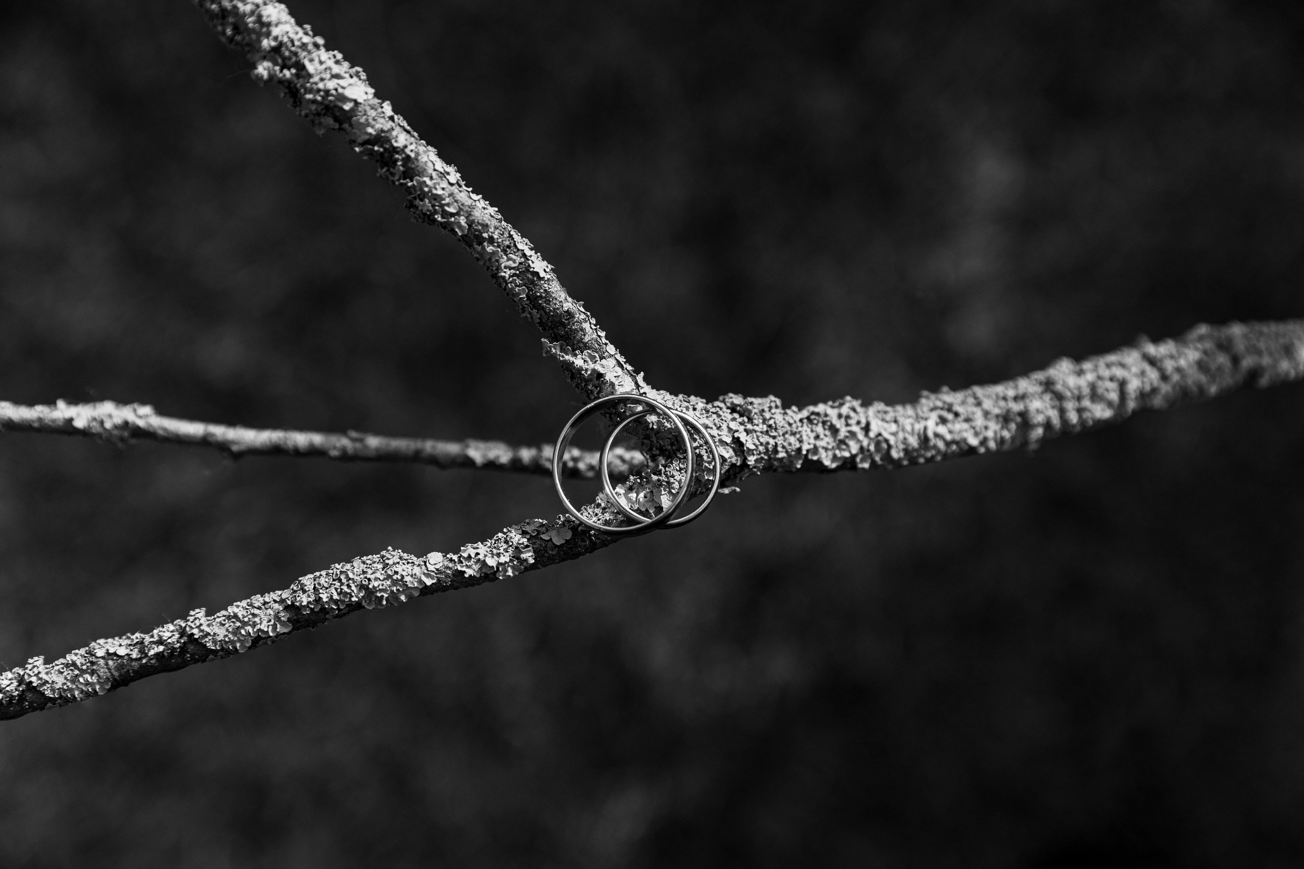 V & Е. Профессиональный фотограф Юнаковская Оксана