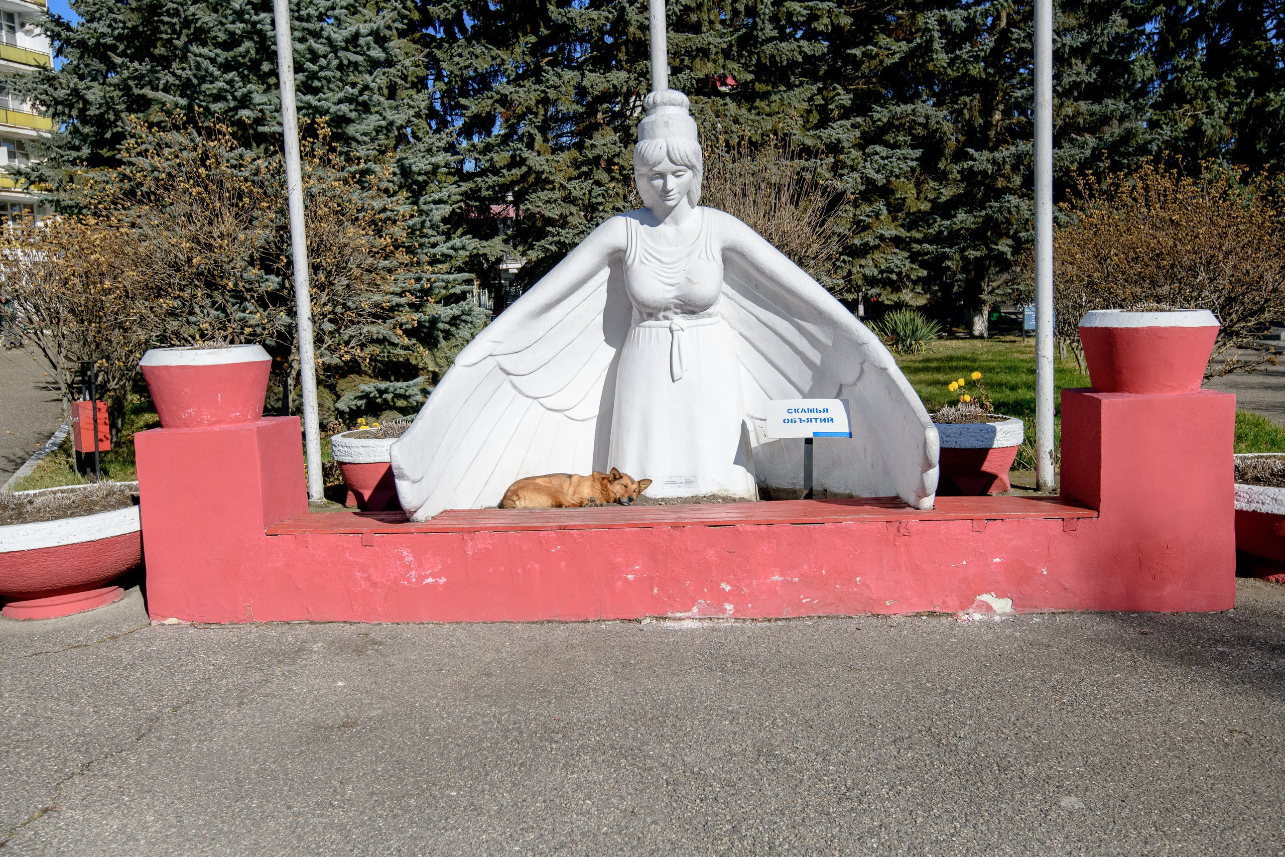 Ессентуки. Профессиональная фотосъемка. Ростов-на-Дону