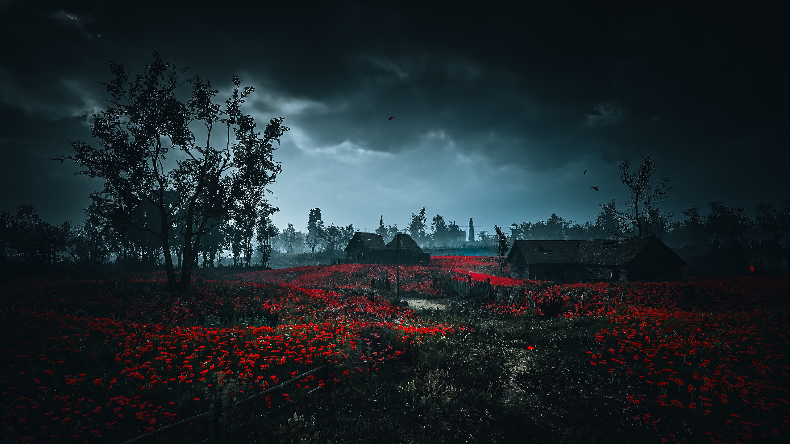 S.T.A.L.K.E.R. 2: Heart of Chornobyl. Для скриншотов