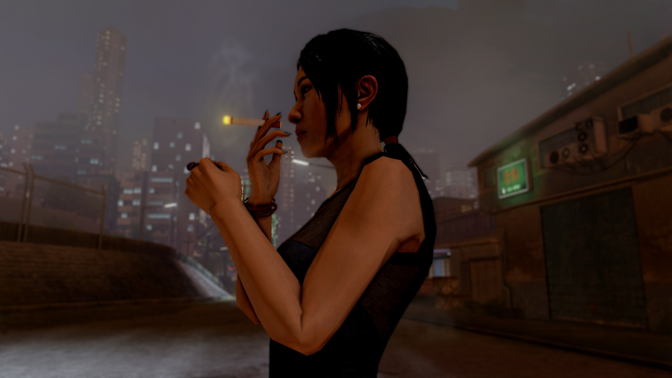 Sleeping Dogs. Для скриншотов