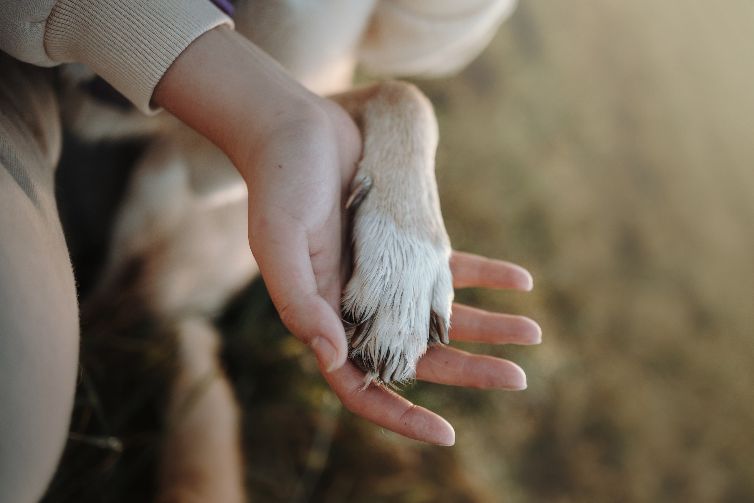 Юля и Джесси. Фотограф — Анималист | Санкт-Петербург