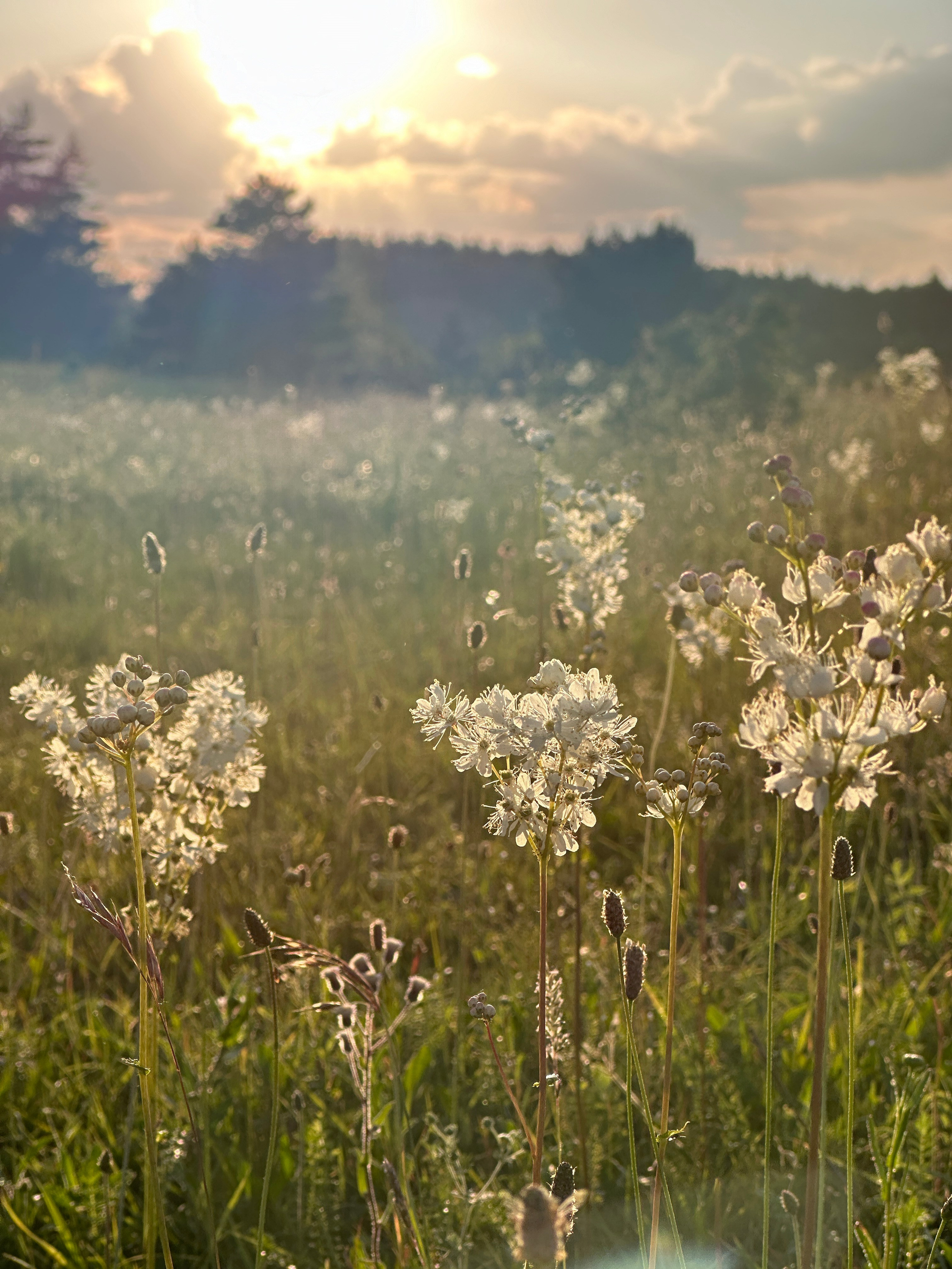 Флора и фауна. Смотри, красота!