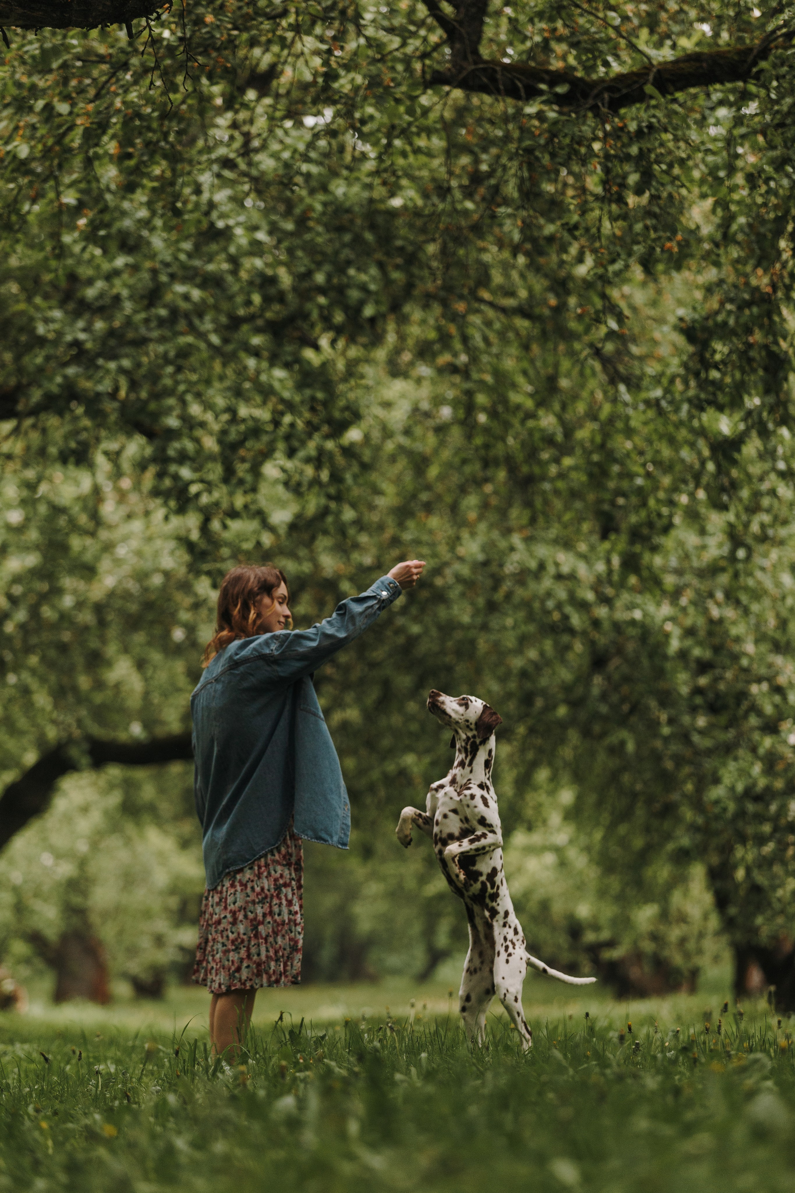 Лили, Уся, Вика и их семья. Фотограф анималист Кристина Карпова, Москва