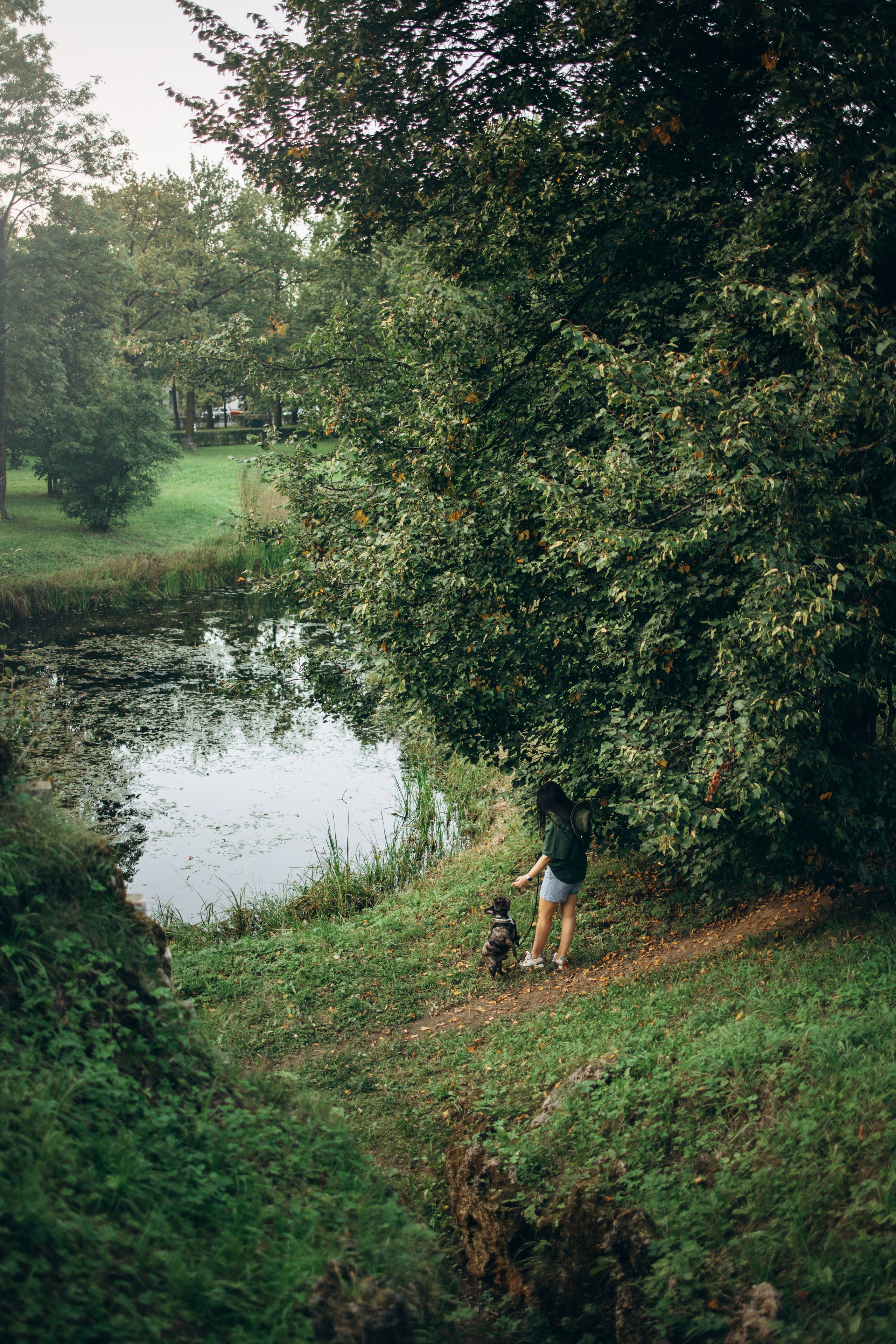 Олеся и Луи. Фотограф — Анималист | Санкт-Петербург