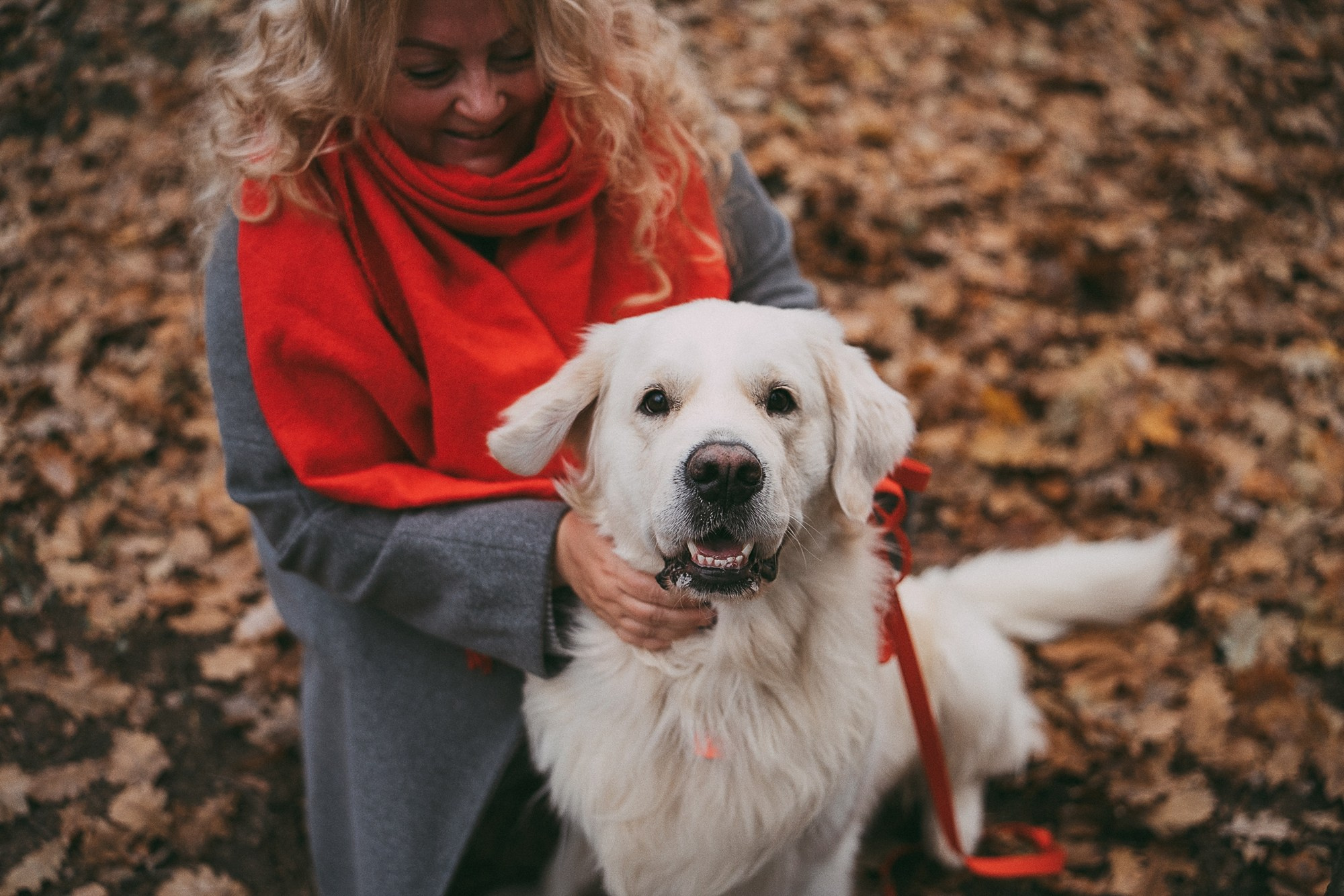 Лена и Мерлин. Фотограф анималист в Москве и Санкт-Петербурге Свиридова Анна