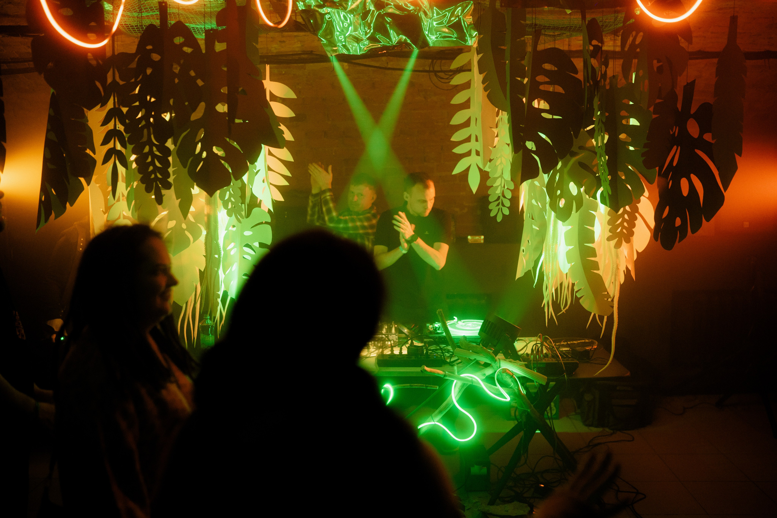 Кратная Звезда | JUNGLE WAVE. Фотограф Vika Rin