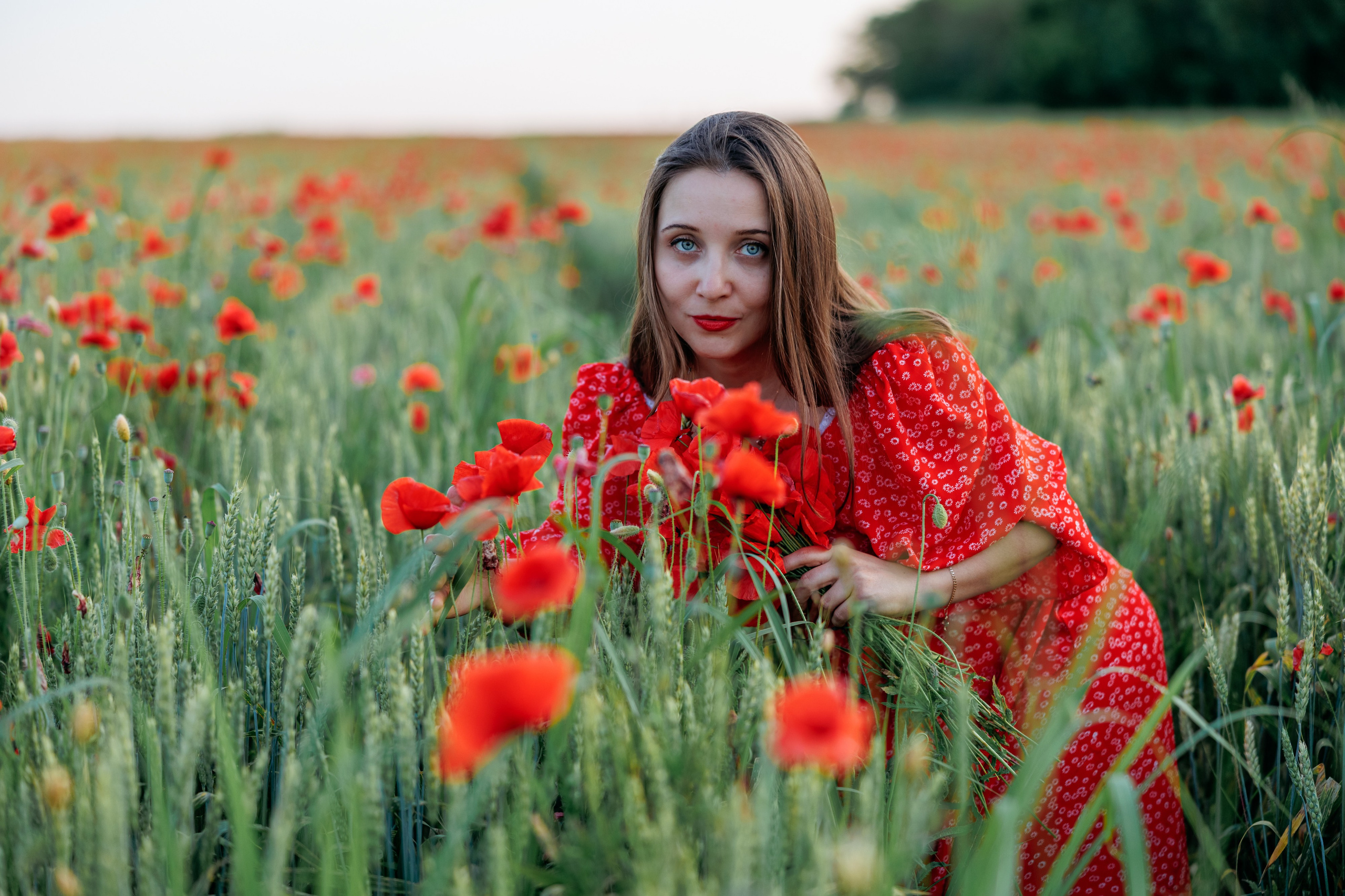 Маки. Свадебный и семейный фотограф в Армавире