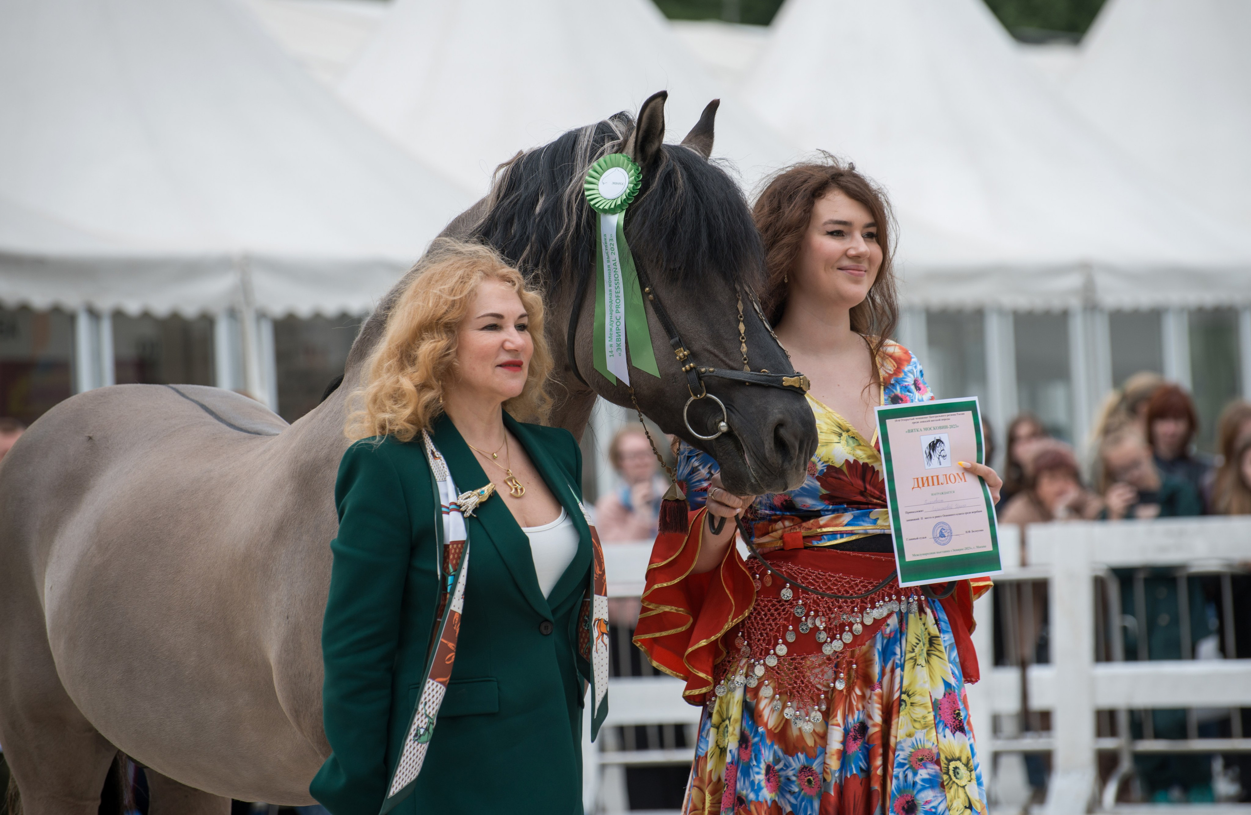Эквирос. Конный фотограф в Саратове Юлия Иванова