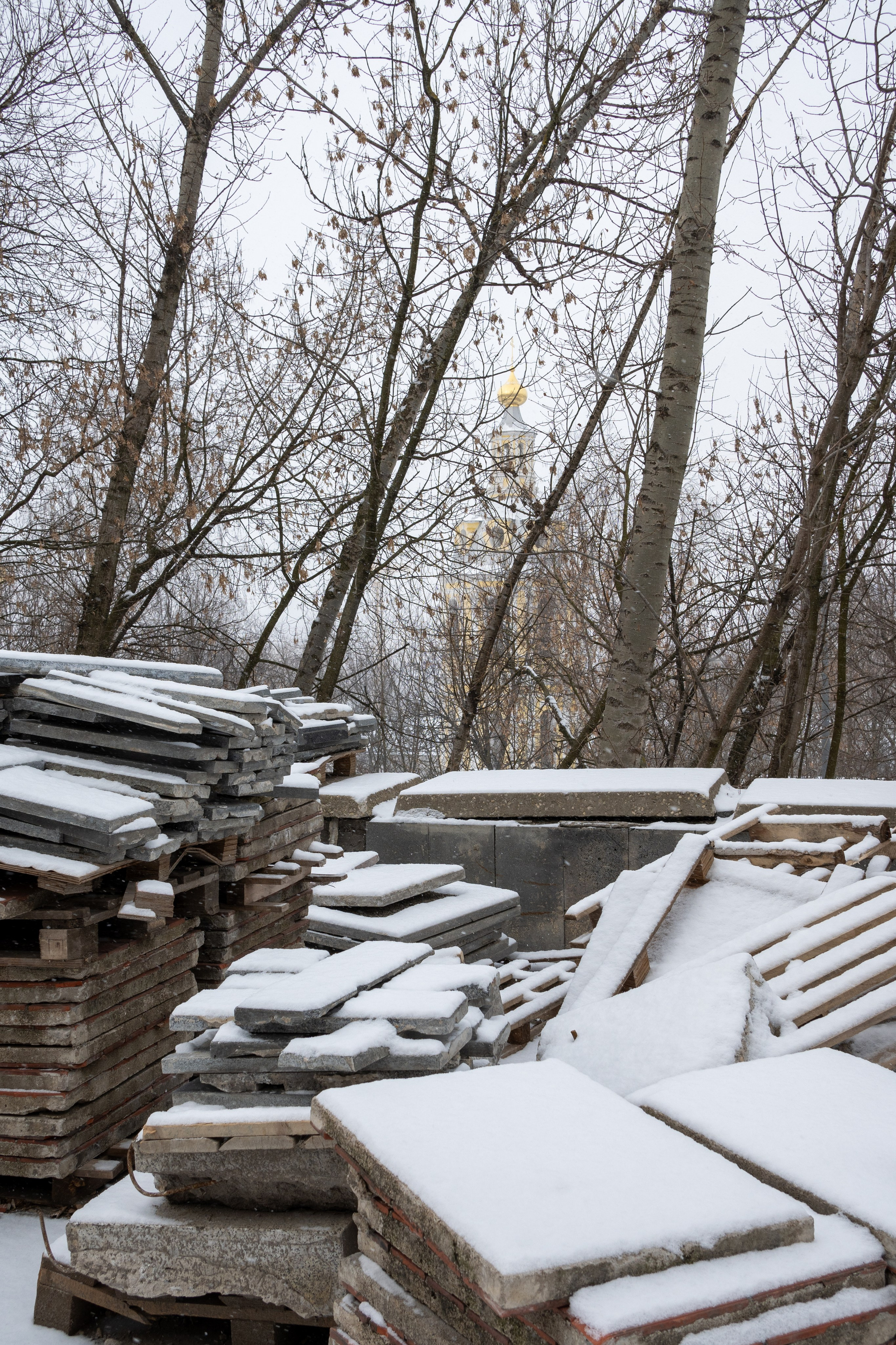 20250216 Нескучный сад. Дмитрий Ремизов. Фотография, как хобби