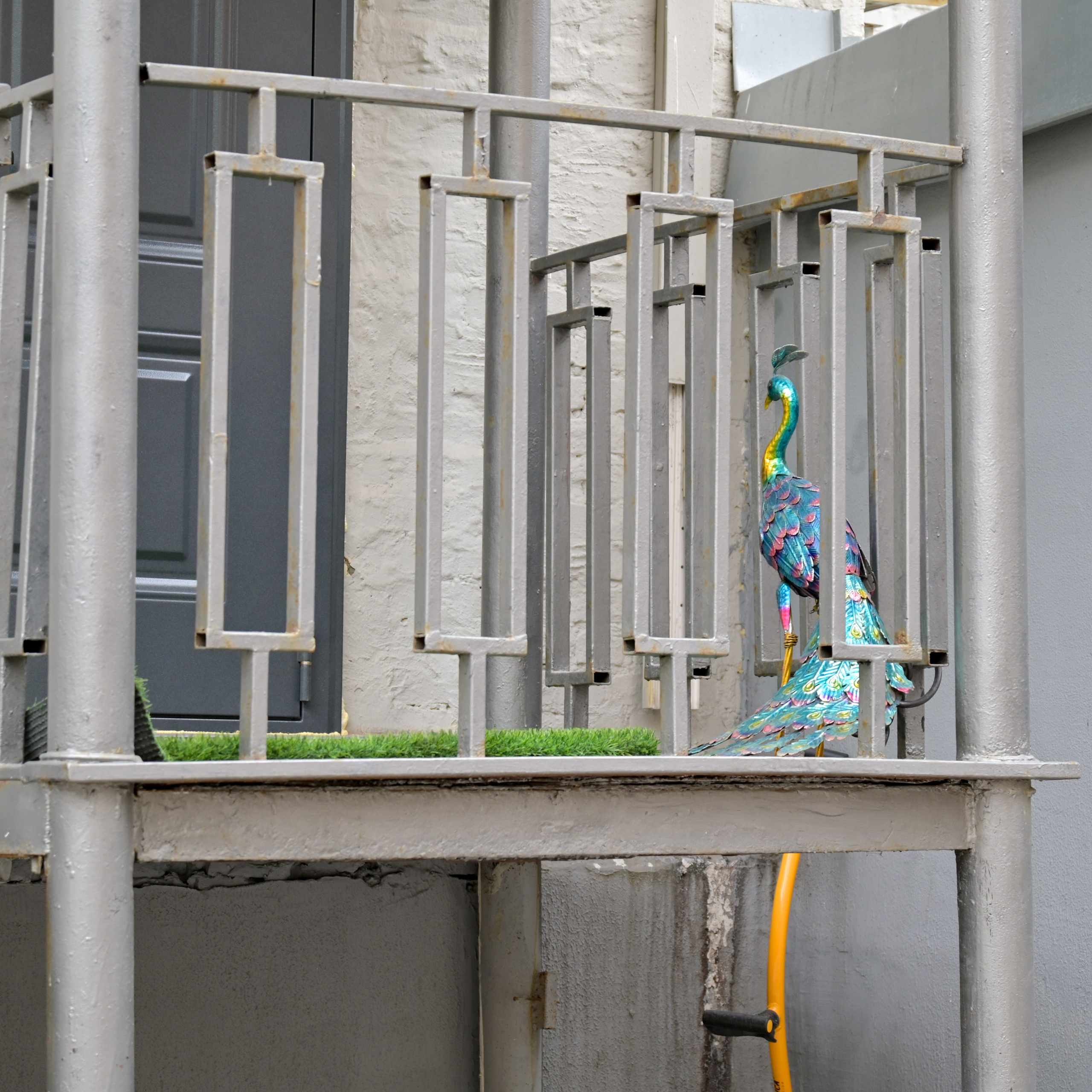 20240406 центр. Дмитрий Ремизов. Фотография, как хобби