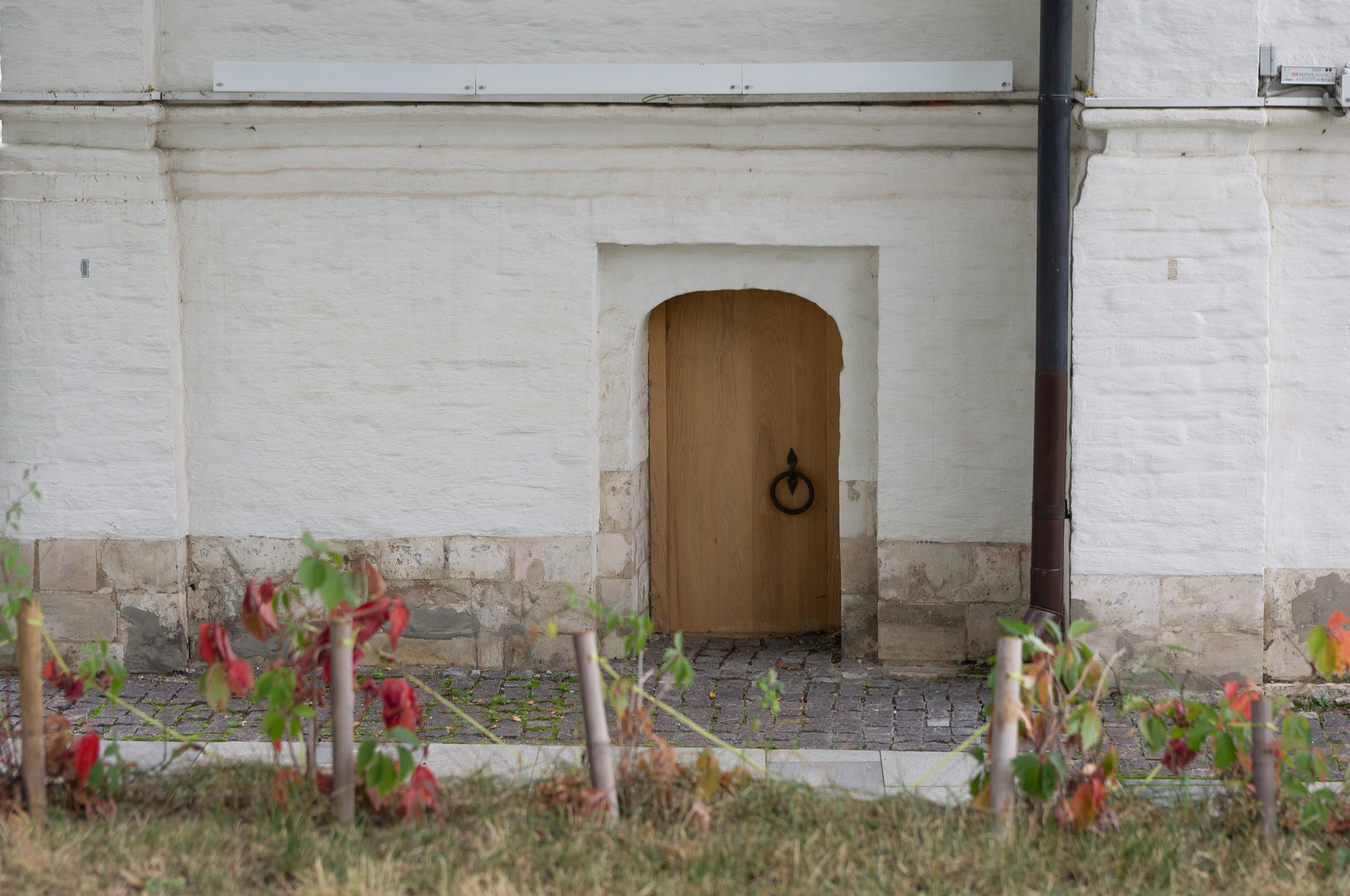 20200824 Вокруг Кремля с братом. Дмитрий Ремизов. Фотография, как хобби