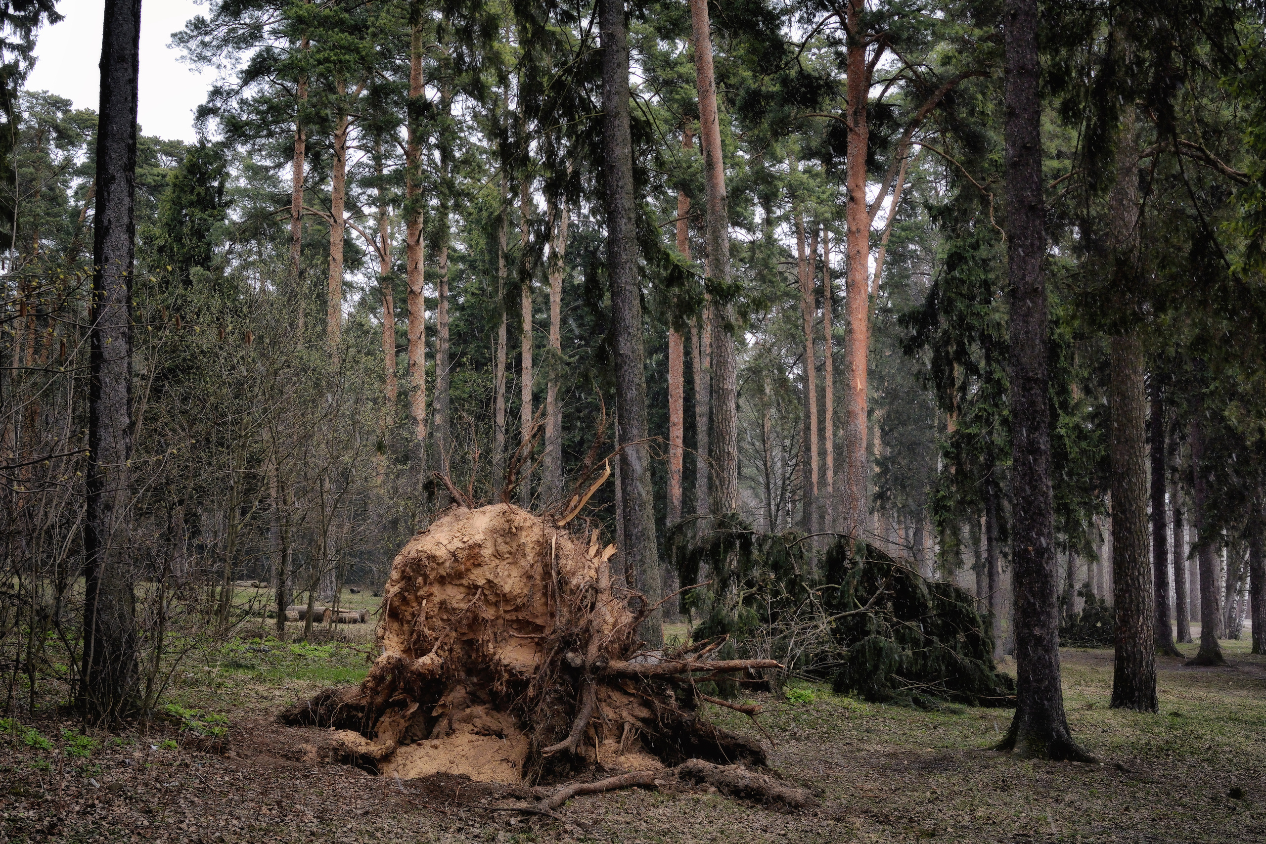 Пейзажи. Свадебный фотограф Олег Шатохин  Москва и Московской область