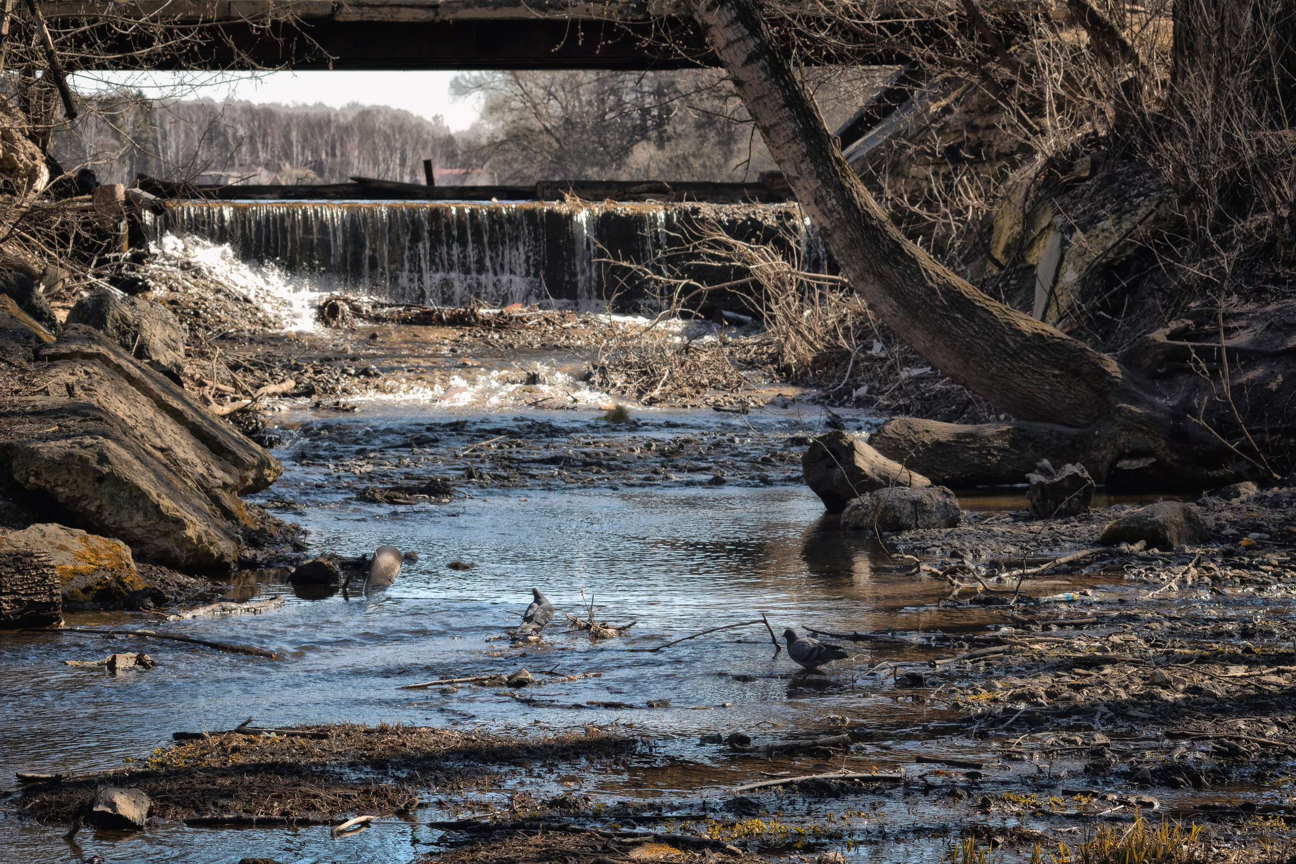 Пейзажи. Свадебный фотограф Олег Шатохин  Москва и Московской область