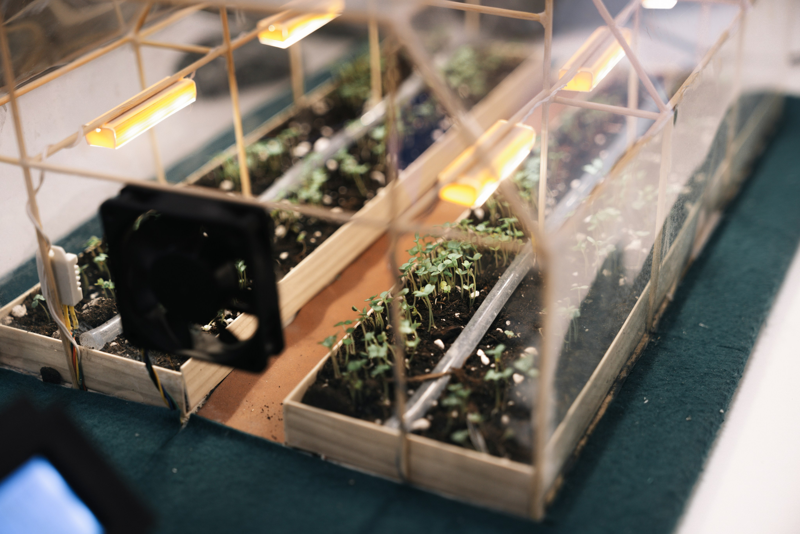 Инженерный старт 2023. Свадебный фотограф в Москве Кристина Чехова