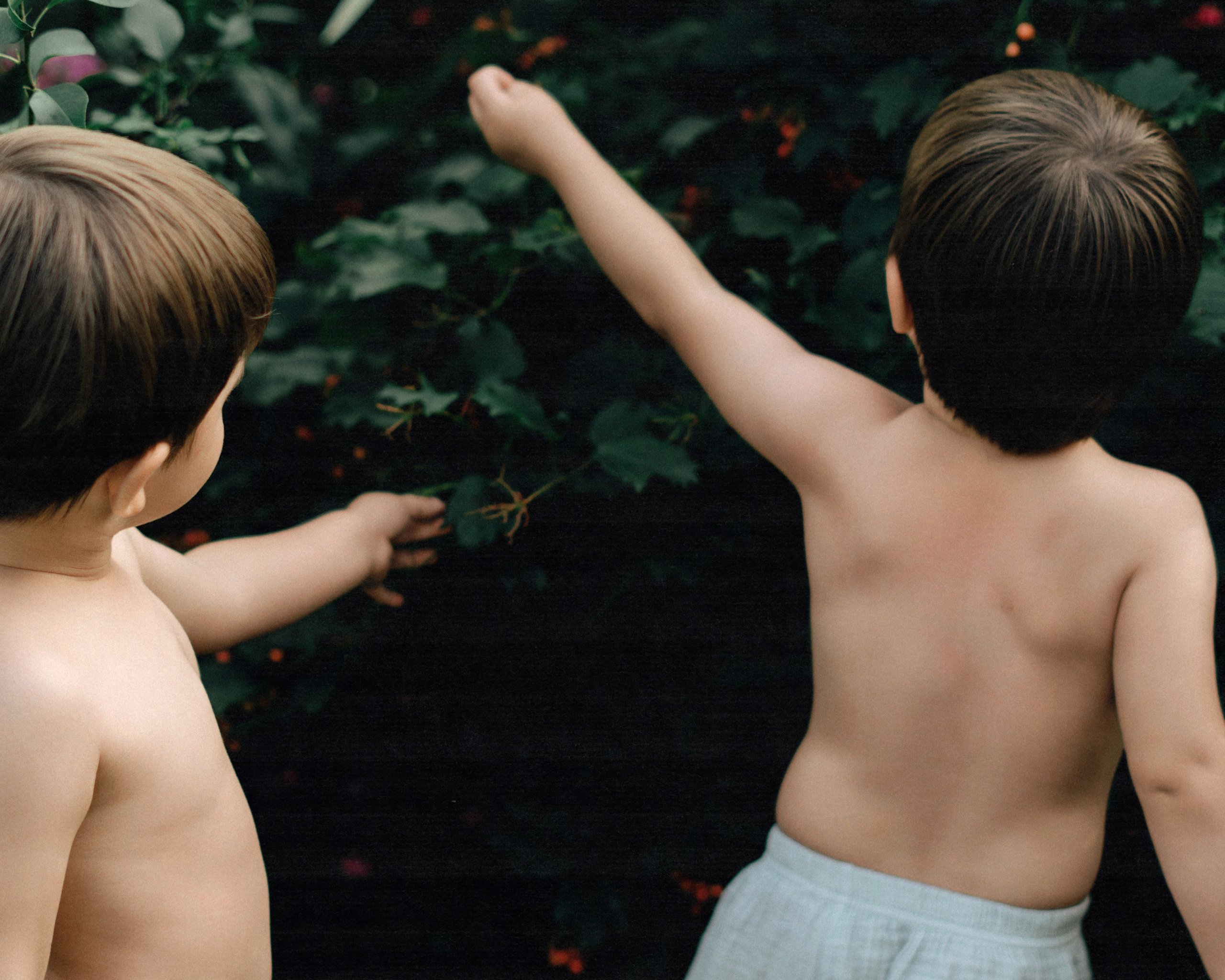 Семья. SHILOVA PHOTO. Шилова Екатерина. Фотограф. Москва