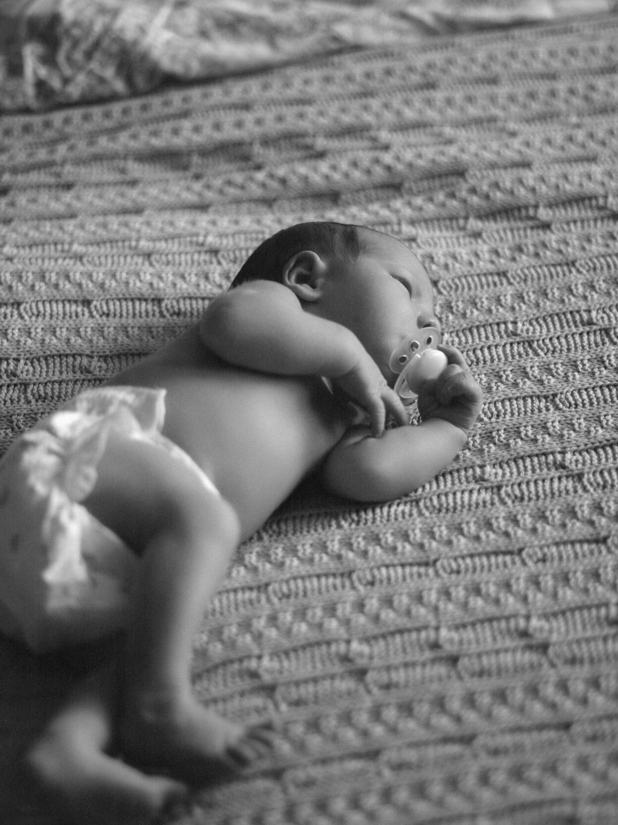 Мироша. SHILOVA PHOTO. Шилова Екатерина. Фотограф. Москва