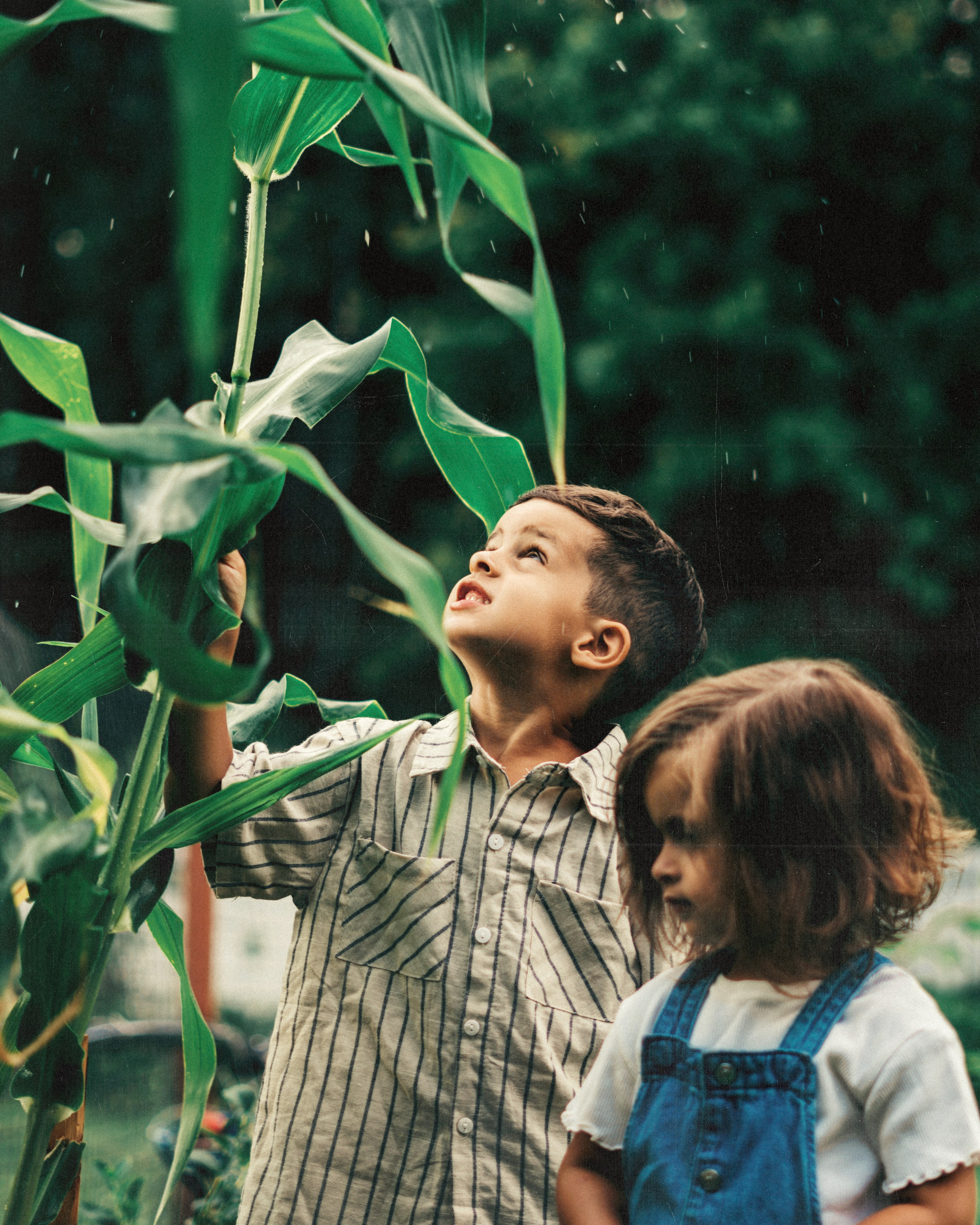 Kids summer. SHILOVA PHOTO. Шилова Екатерина. Фотограф. Москва