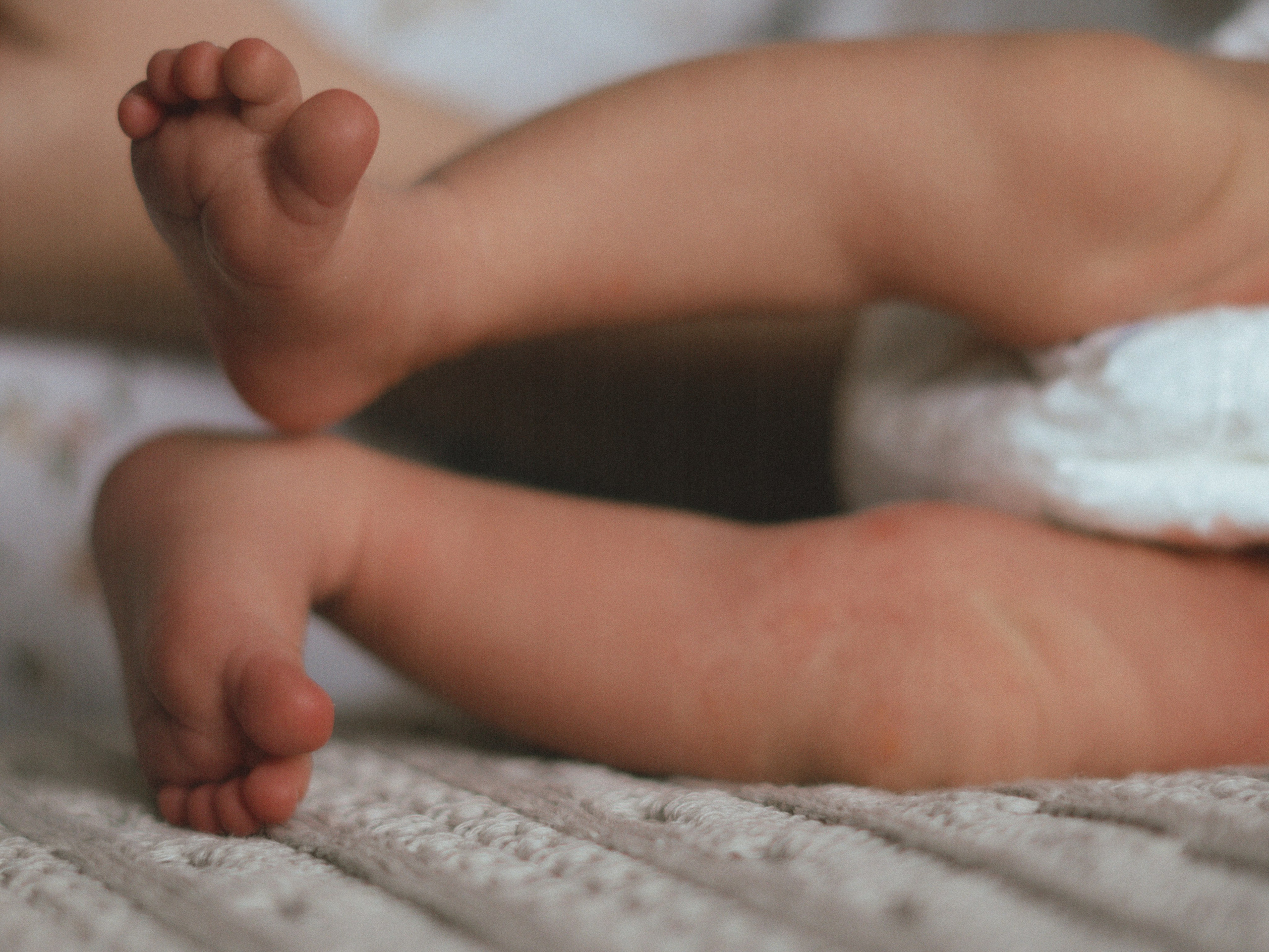 Мироша. SHILOVA PHOTO. Шилова Екатерина. Фотограф. Москва