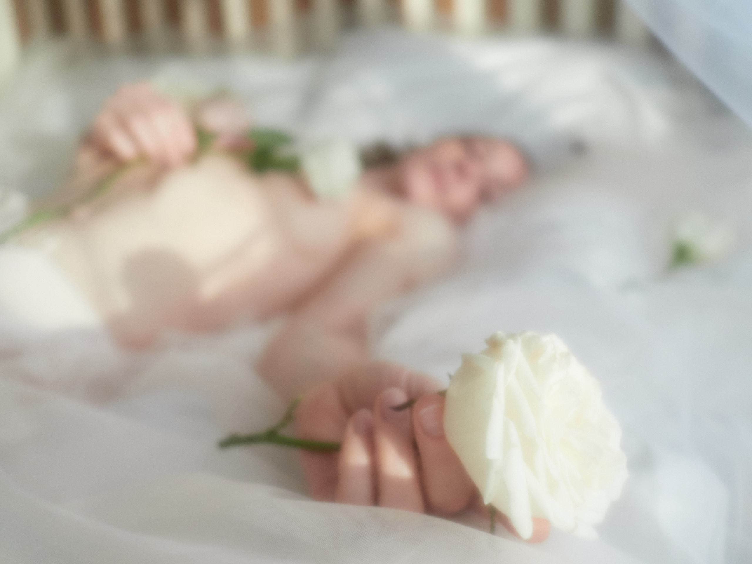 Екатерина. Fine portraits. Никита Данилов