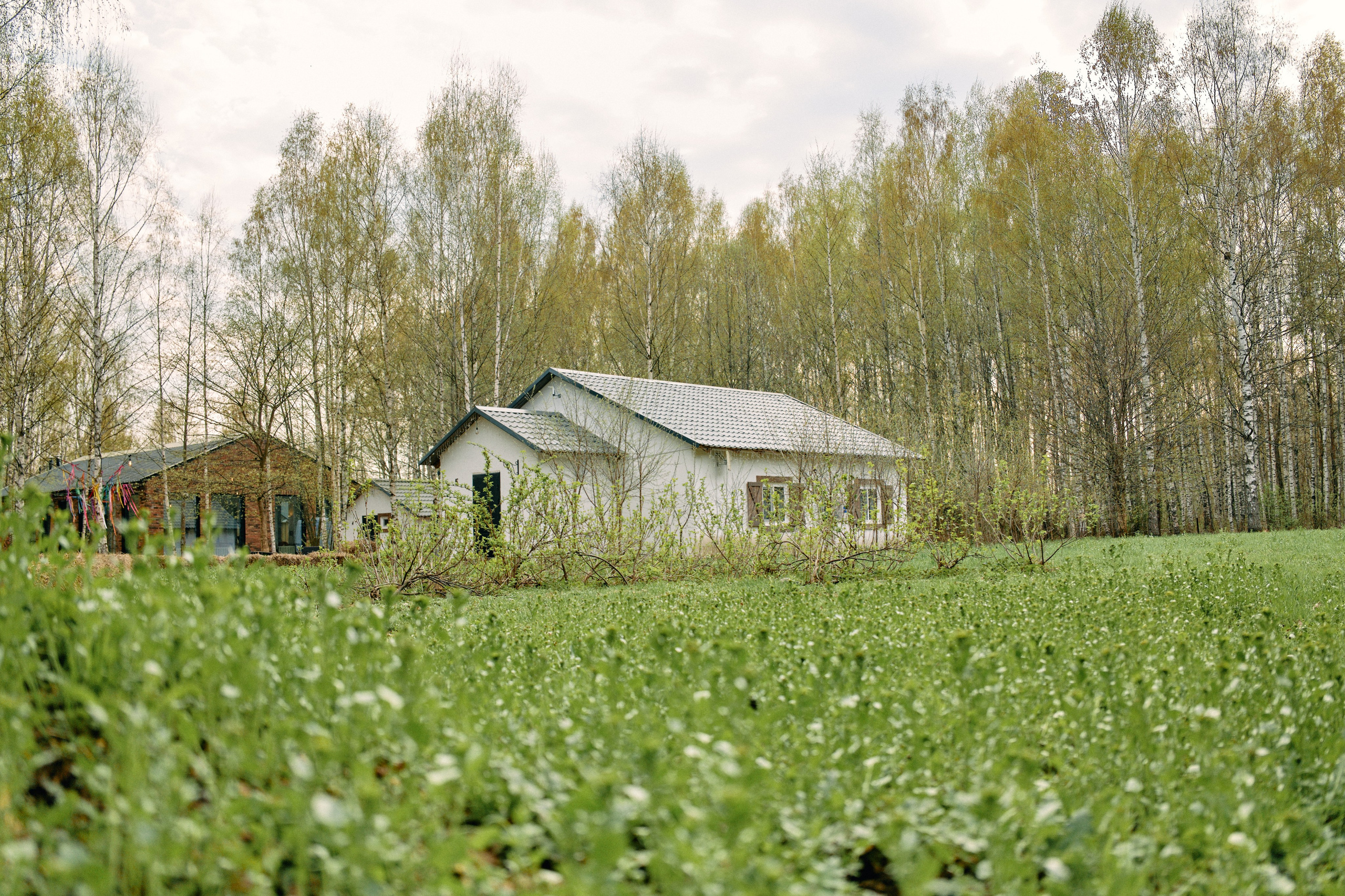 Бутик-отель Поле летом. Профессиональный Фотограф во Владимире, в Москве и в Суздале — Полина Романычева