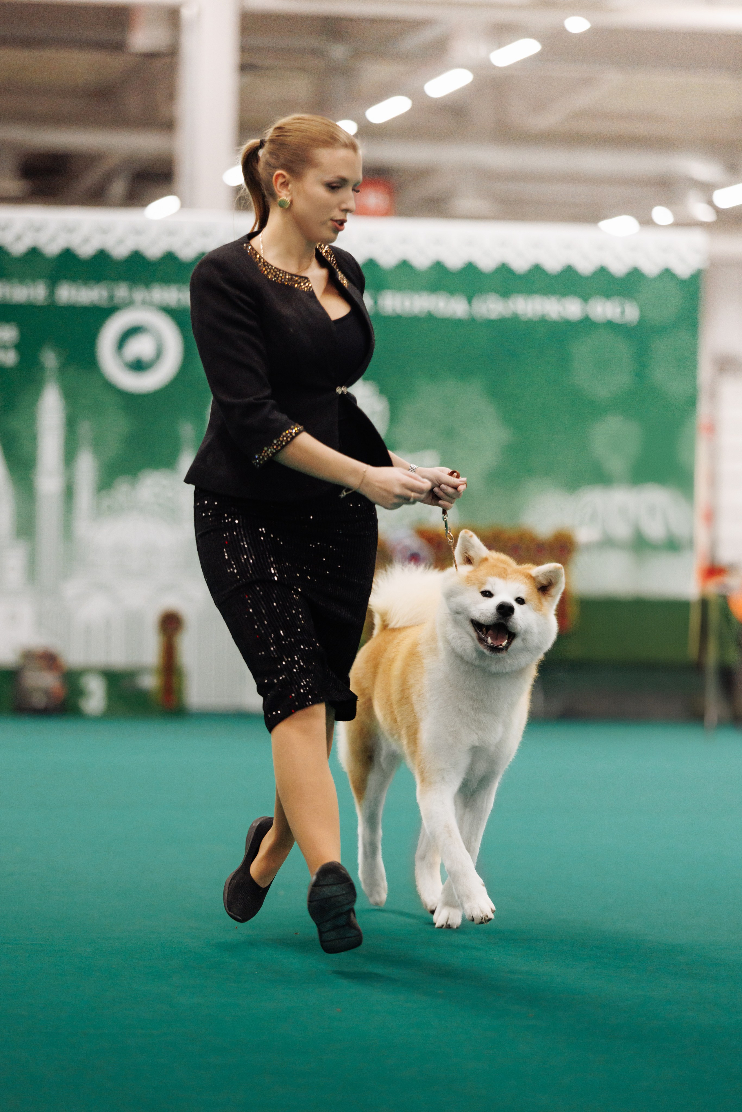 29-30.11.2025 — Казань «Зилант». Фотограф-анималист Саша Вязьмина