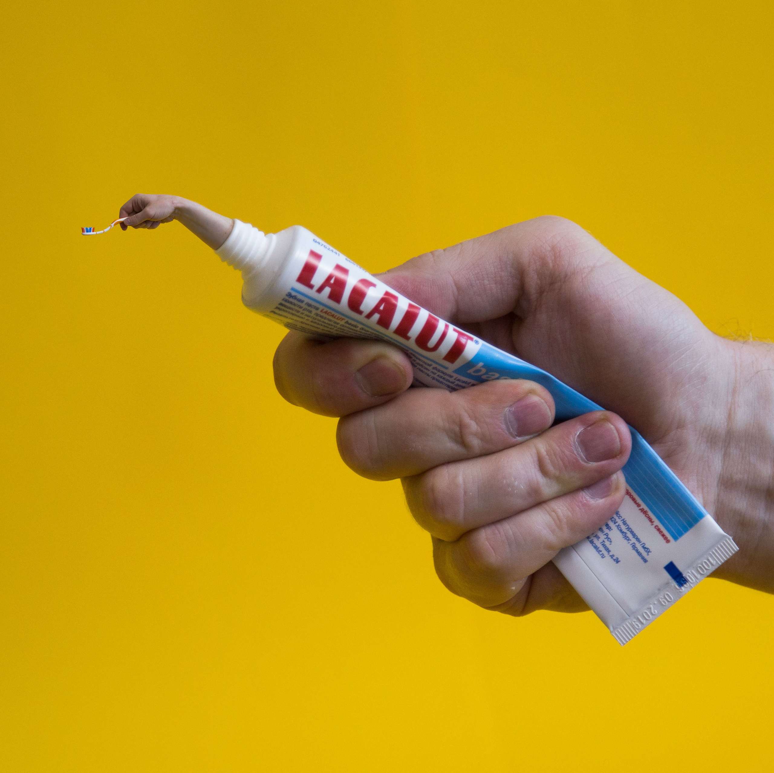 Дичь. Фотограф Виноградов Константин