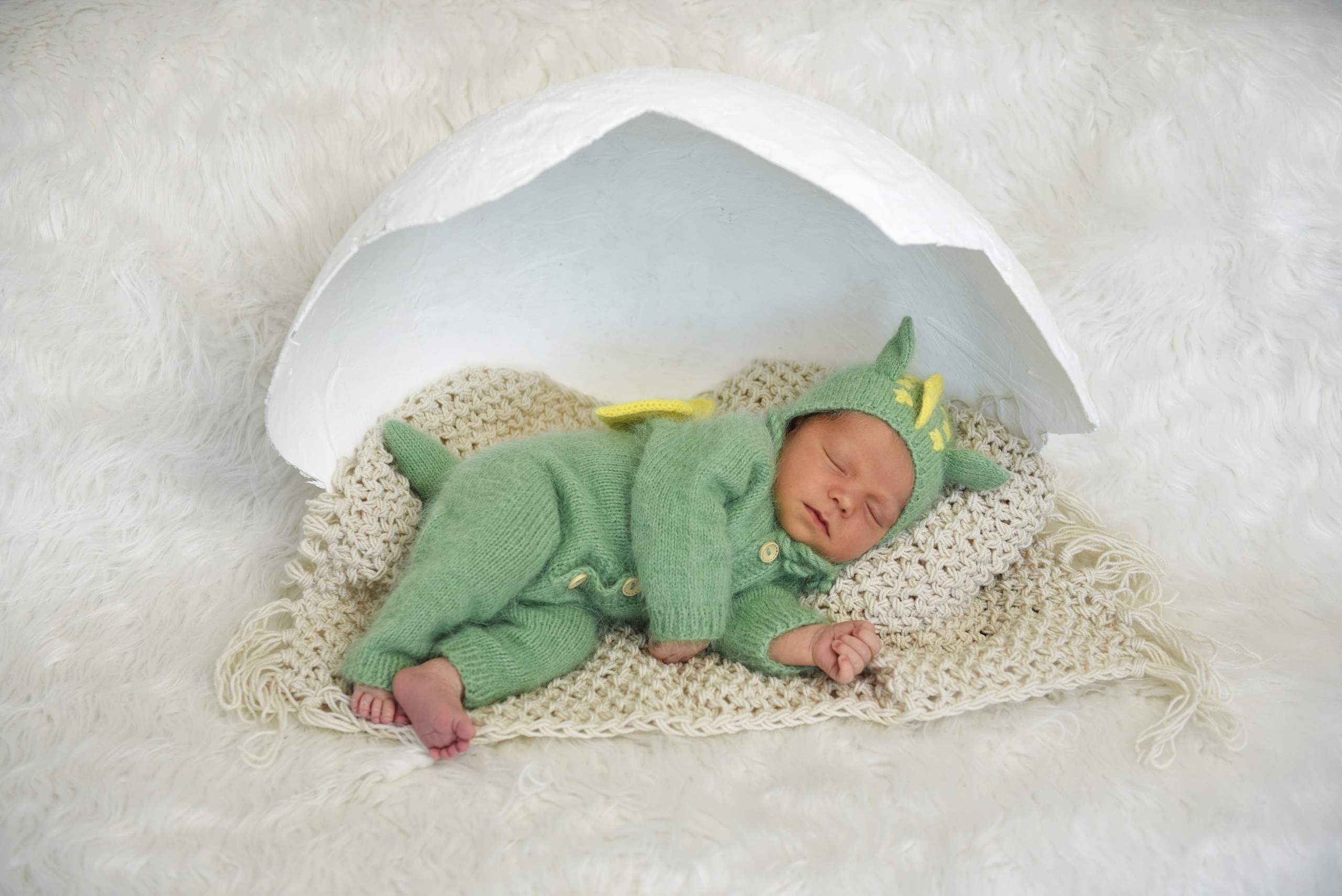 Артем-динозаврик. Семейный, детский и школьный фотограф в Димитровграде Наумова Екатерина