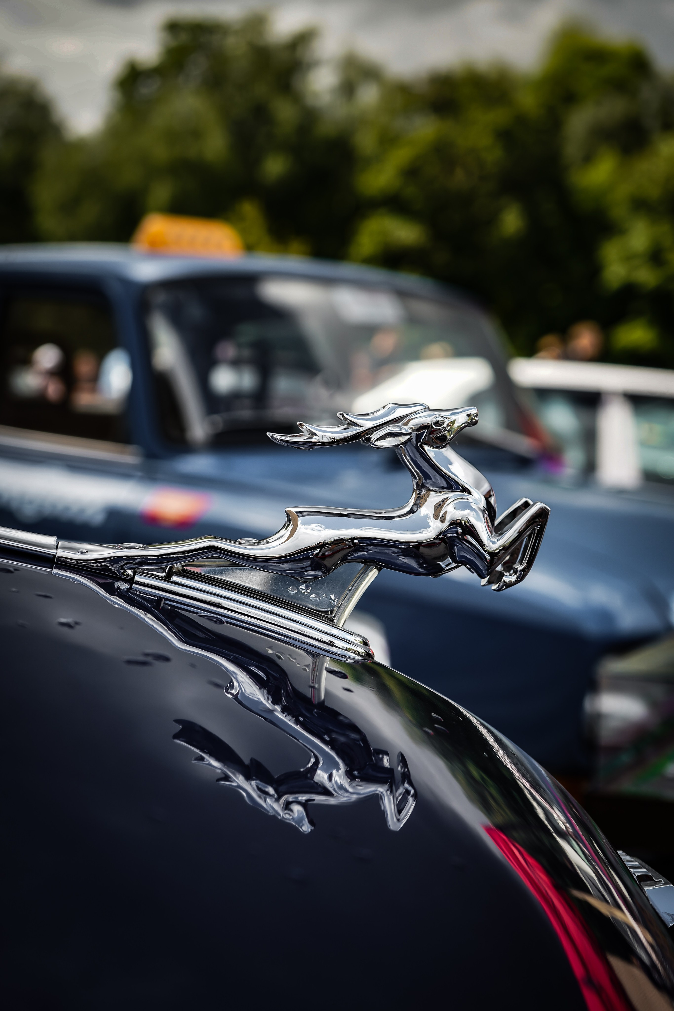 АВТОКЛАСТЕР 19/20. Объективно. Показываю жизнь через свои кадры