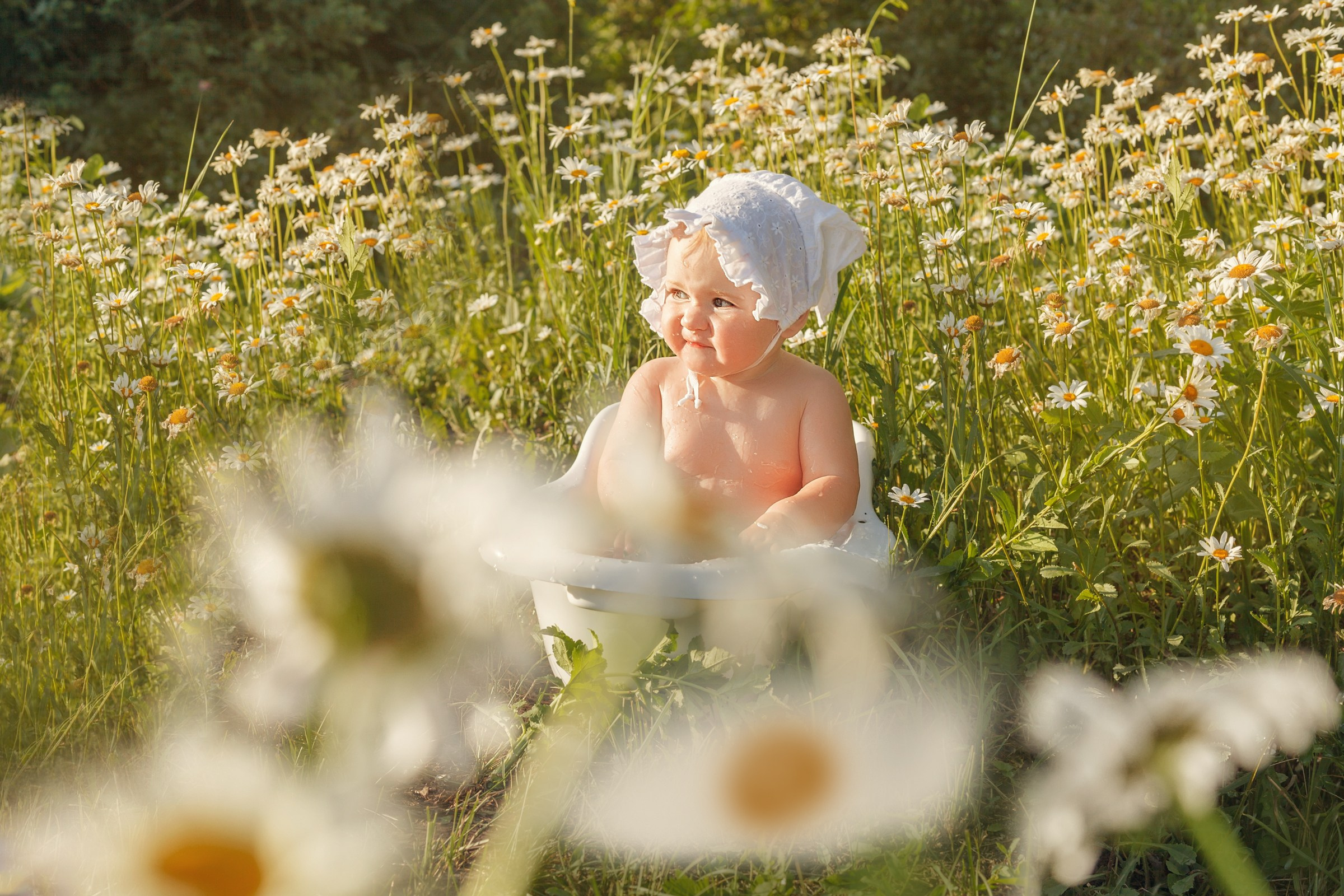 Ромашки. Детский и семейный фотограф в Бердске и Новосибирске Дарья Гребнева