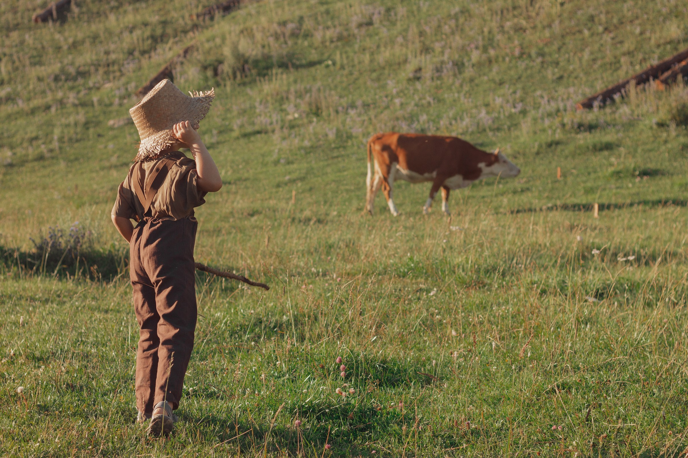 Пастушок. Детский и семейный фотограф в Бердске и Новосибирске Дарья Гребнева