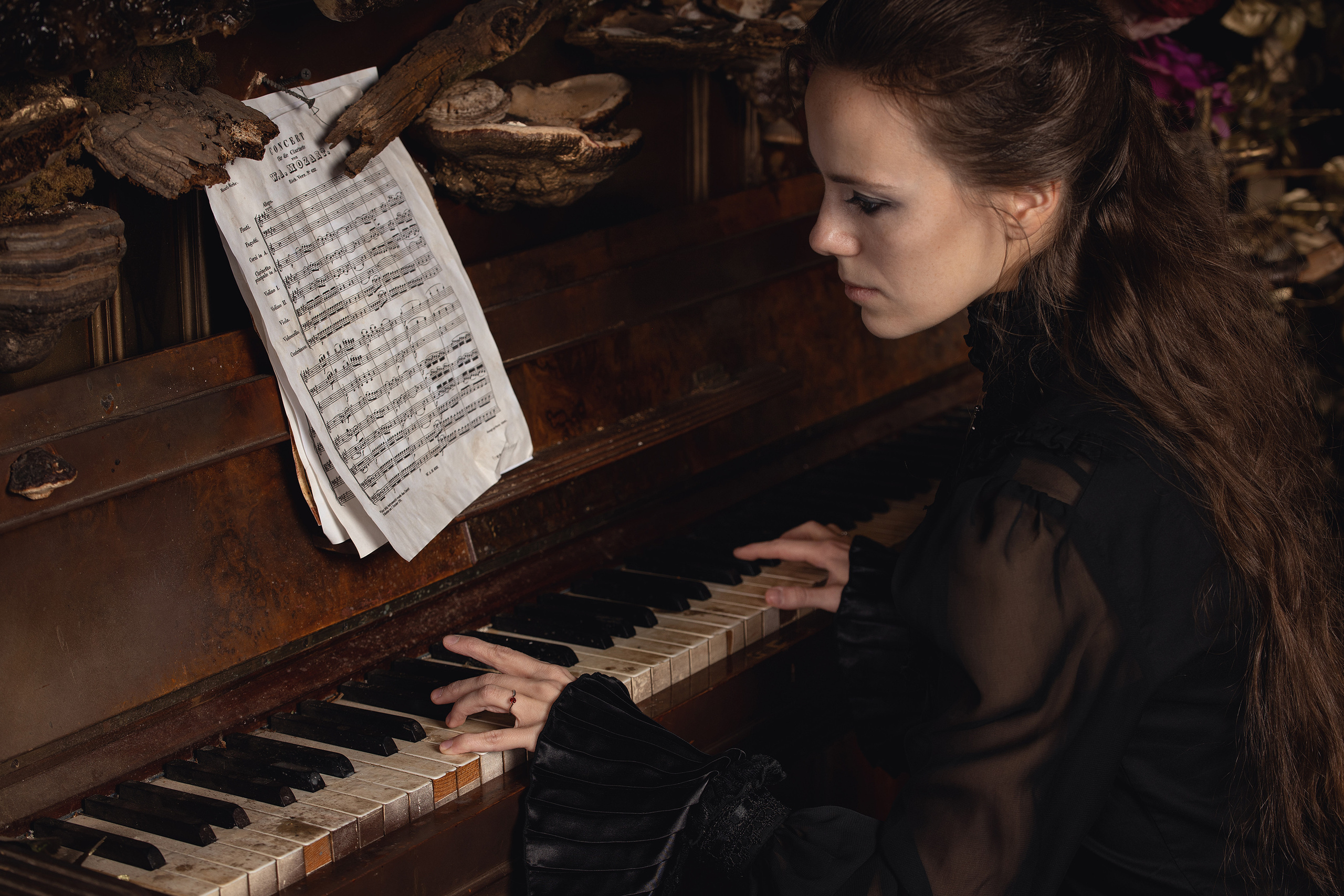 Mozart l'Opéra Rock. Арт-фотограф. Coffelisk