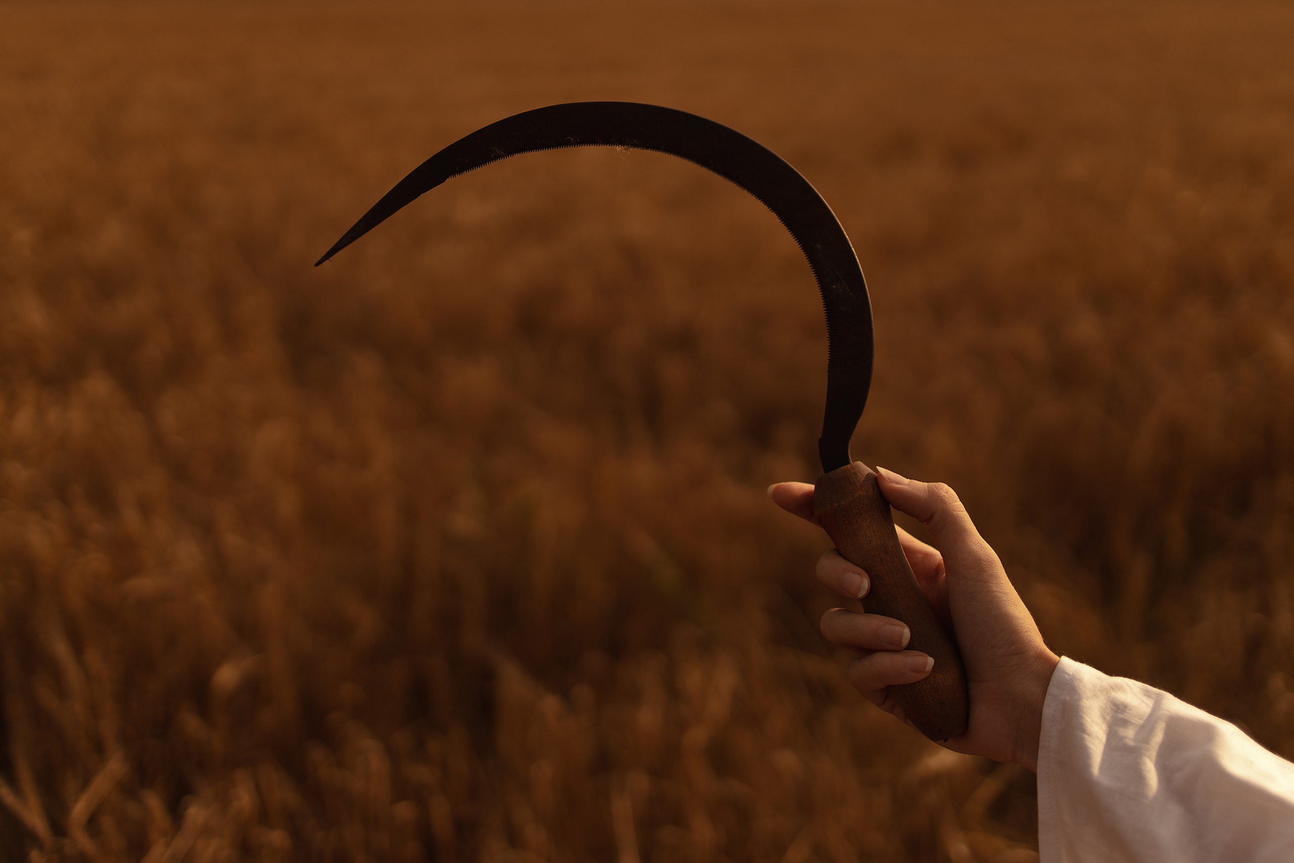 Południca. Арт-фотограф. Coffelisk