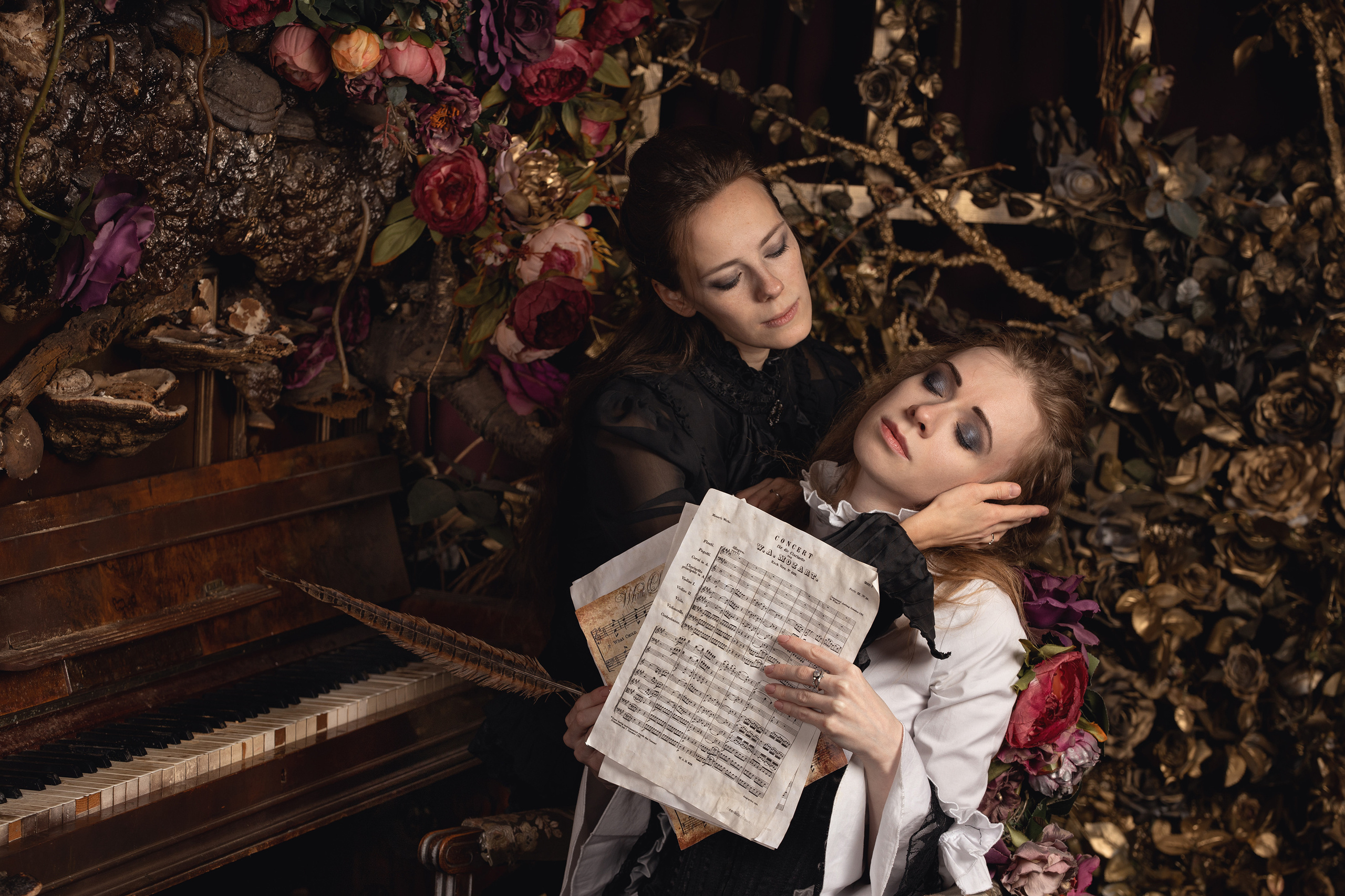 Mozart l'Opéra Rock. Арт-фотограф. Coffelisk