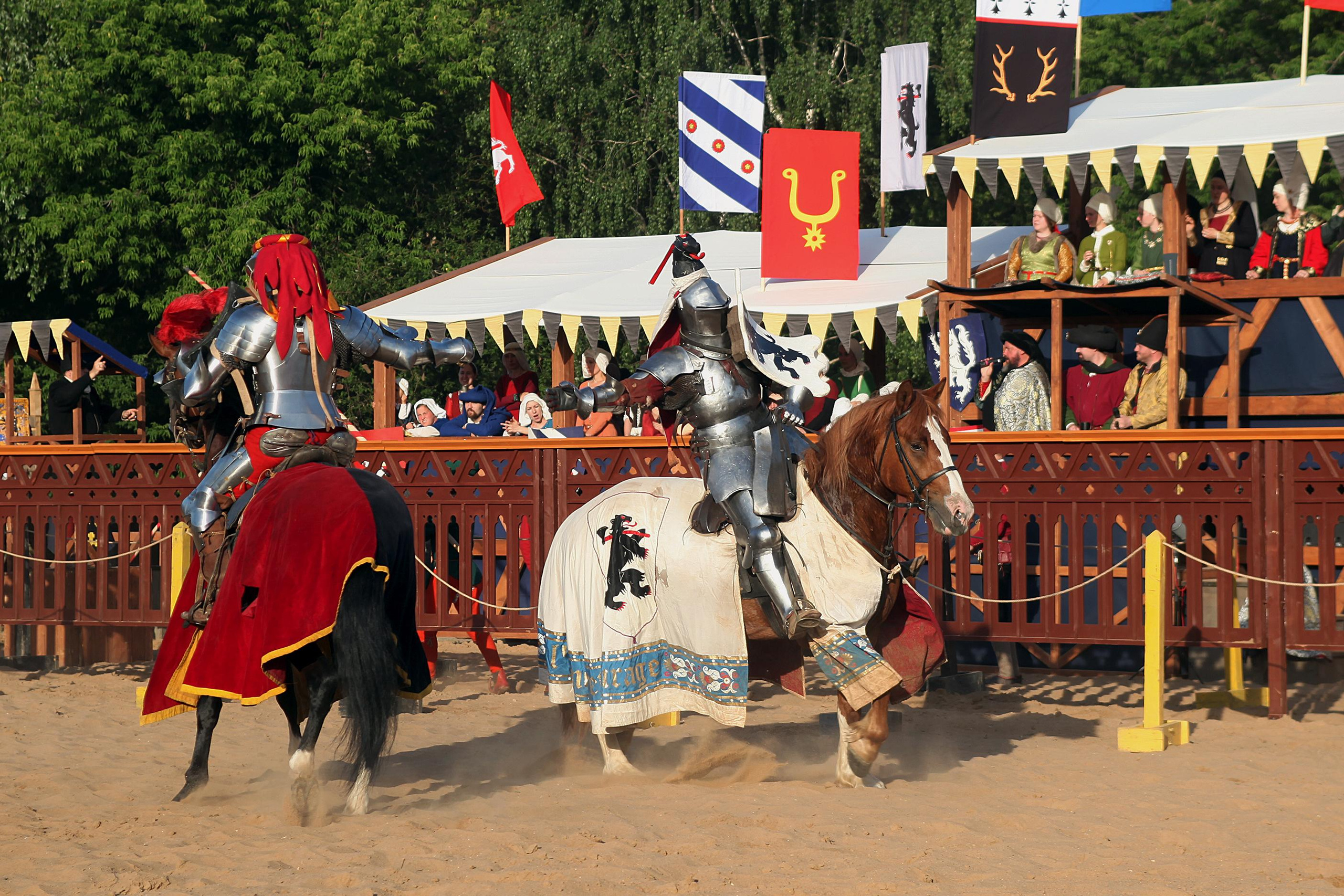 Рыцарский турнир святого Георгия. Арт-фотограф. Coffelisk