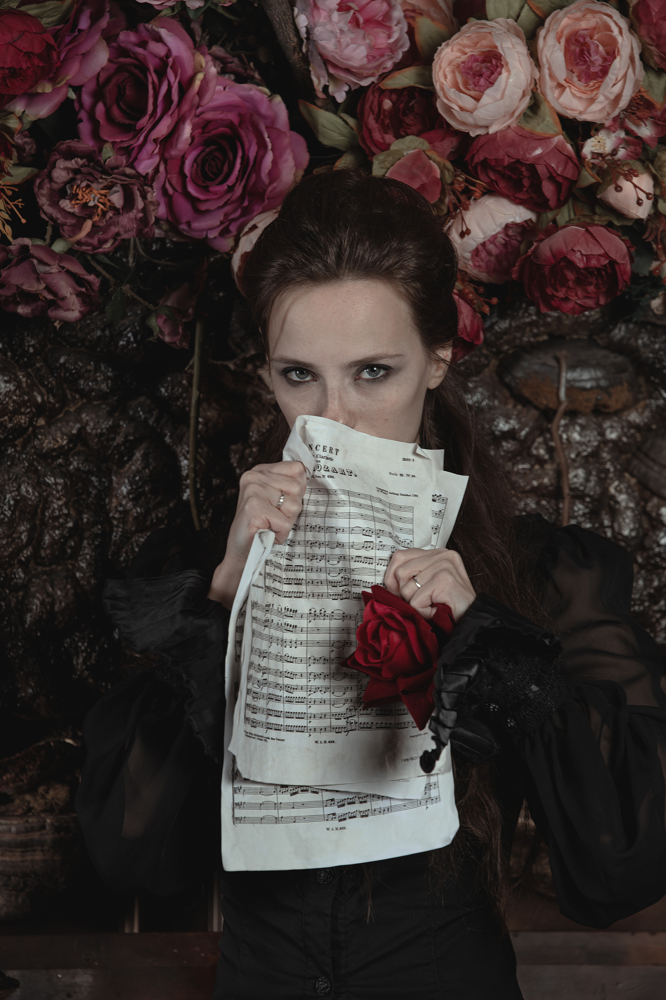 Mozart l'Opéra Rock. Арт-фотограф. Coffelisk