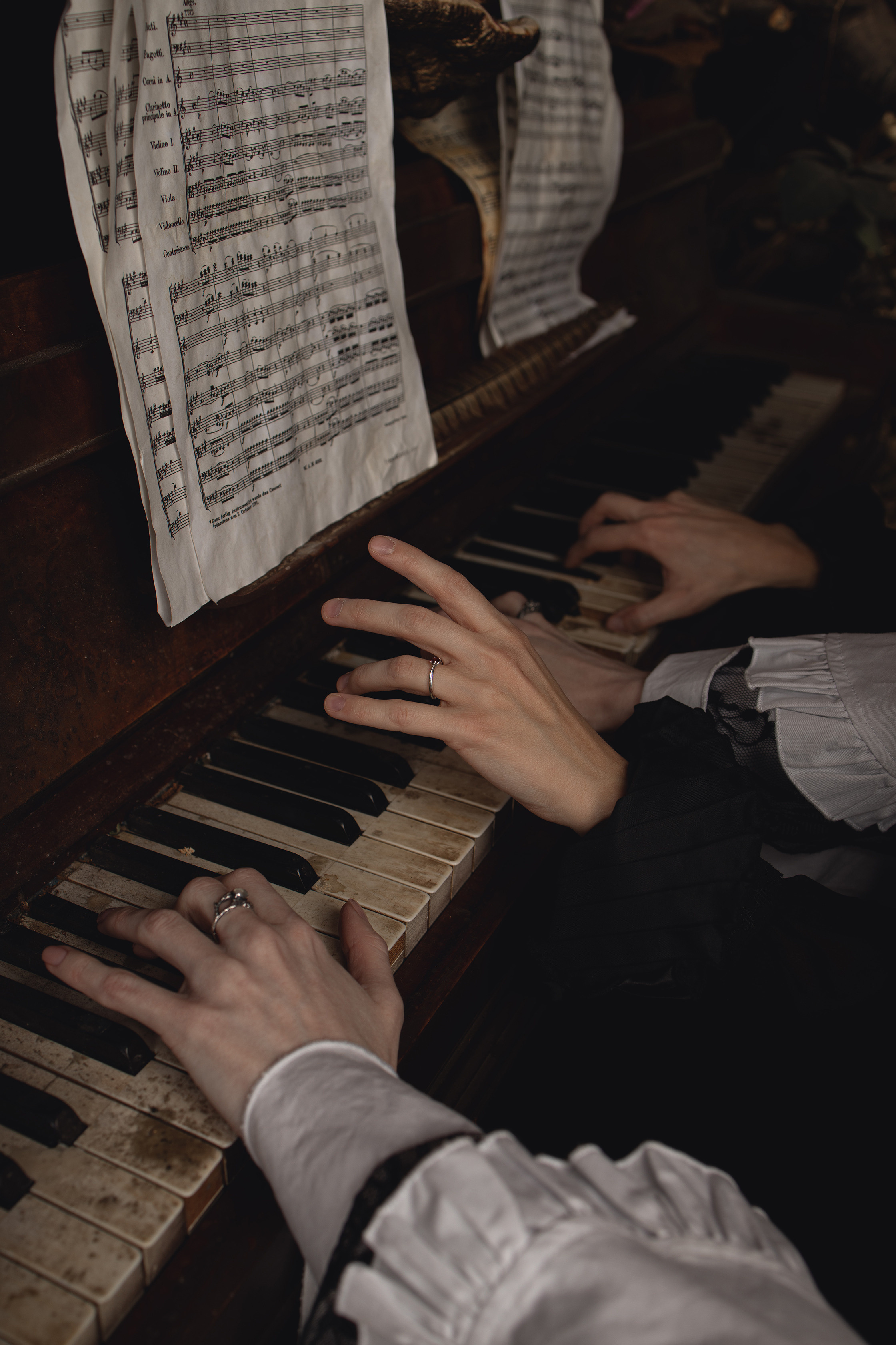 Mozart l'Opéra Rock. Арт-фотограф. Coffelisk