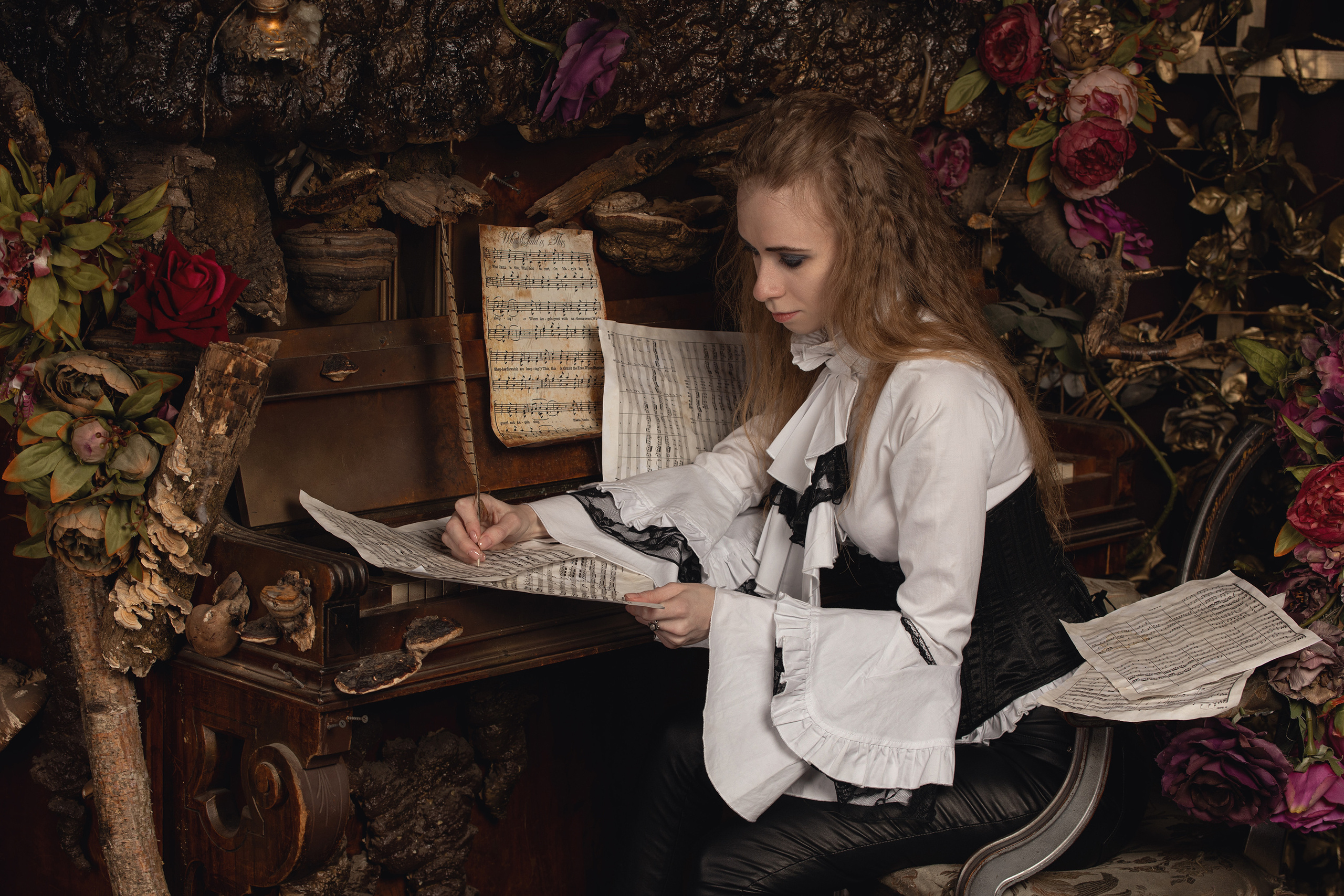 Mozart l'Opéra Rock. Арт-фотограф. Coffelisk