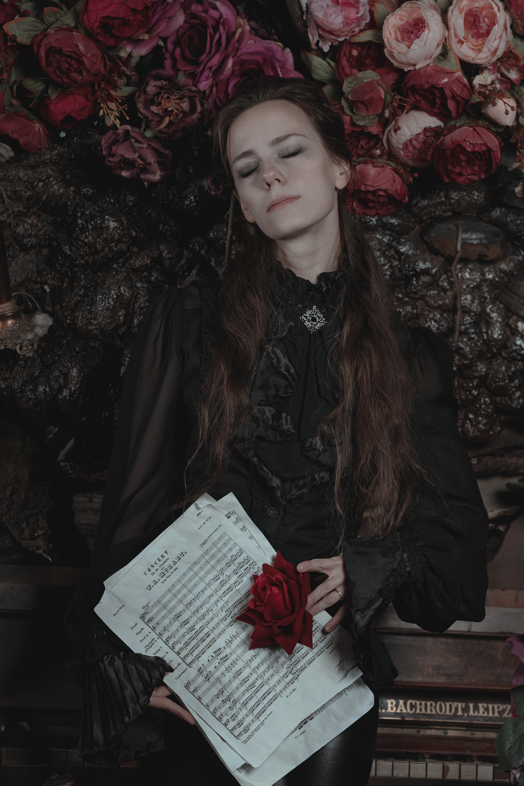 Mozart l'Opéra Rock. Арт-фотограф. Coffelisk