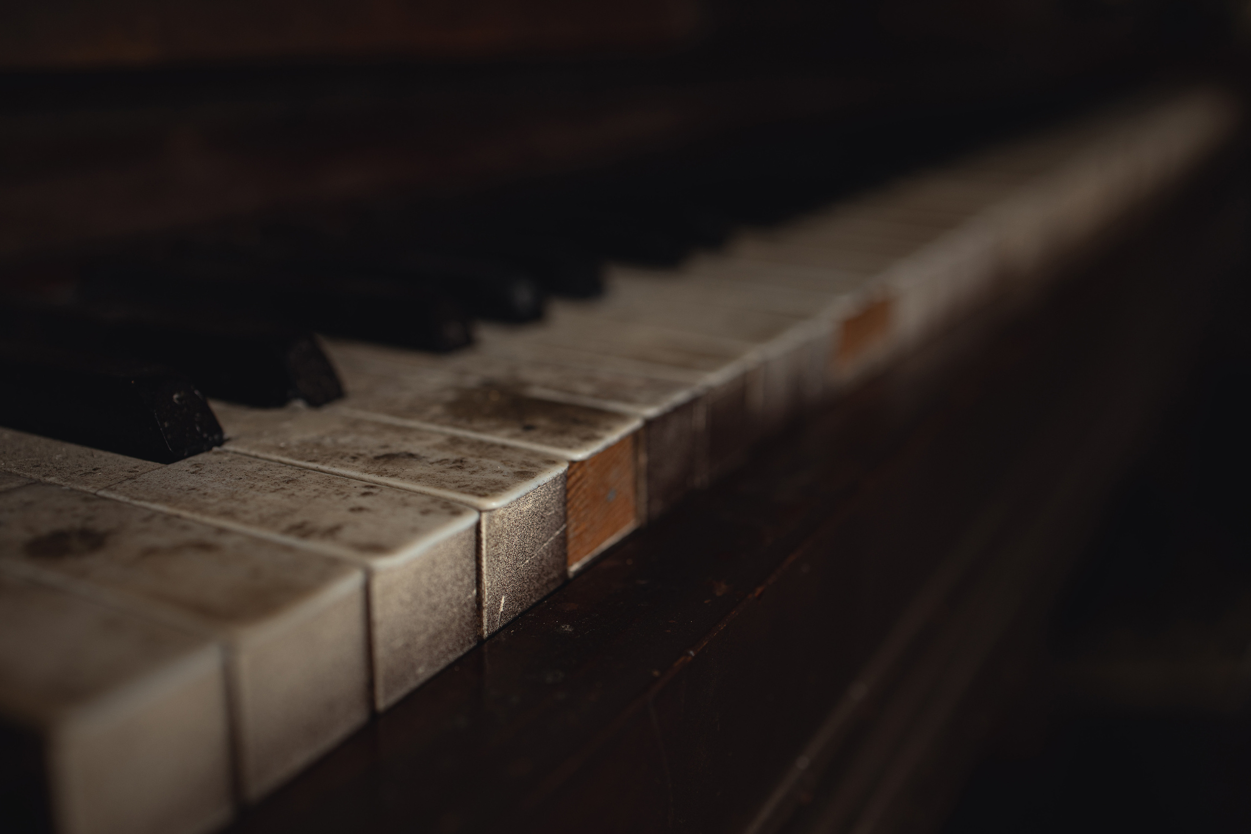 Mozart l'Opéra Rock. Арт-фотограф. Coffelisk