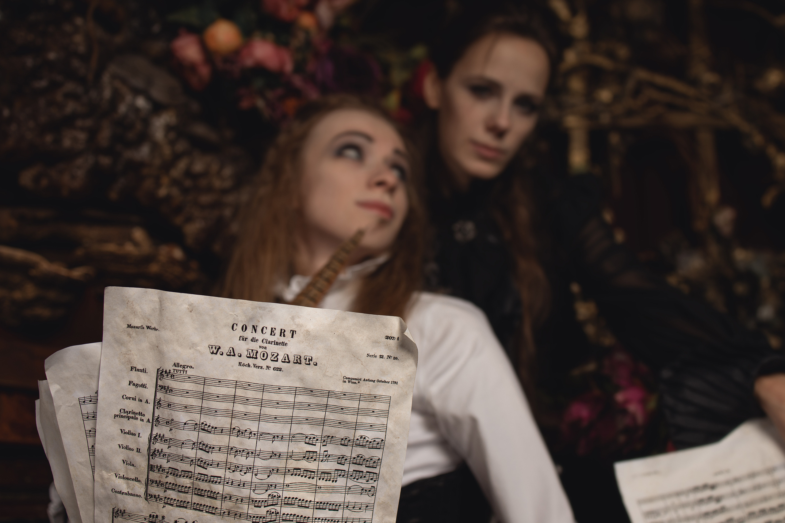 Mozart l'Opéra Rock. Арт-фотограф. Coffelisk