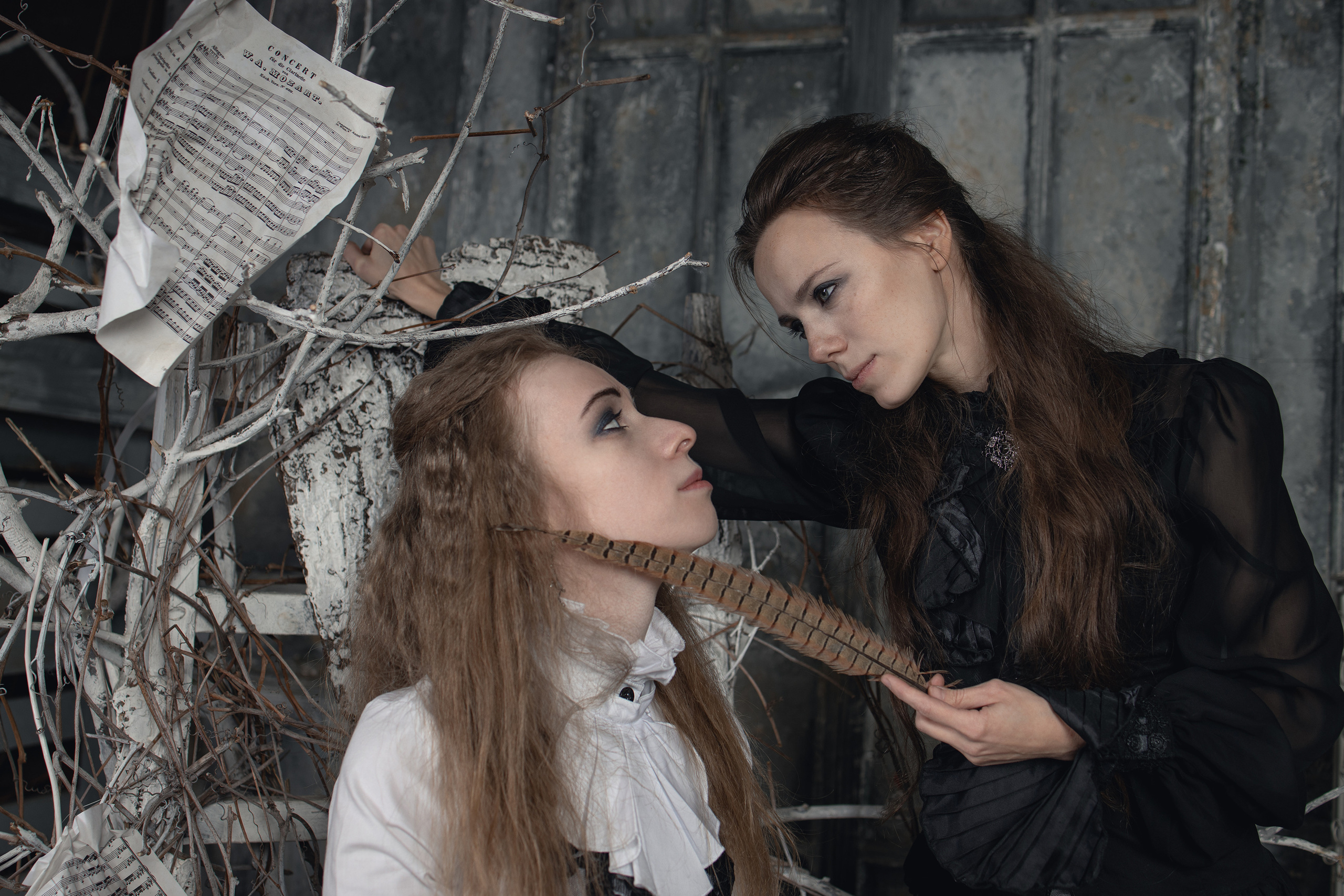 Mozart l'Opéra Rock. Арт-фотограф. Coffelisk