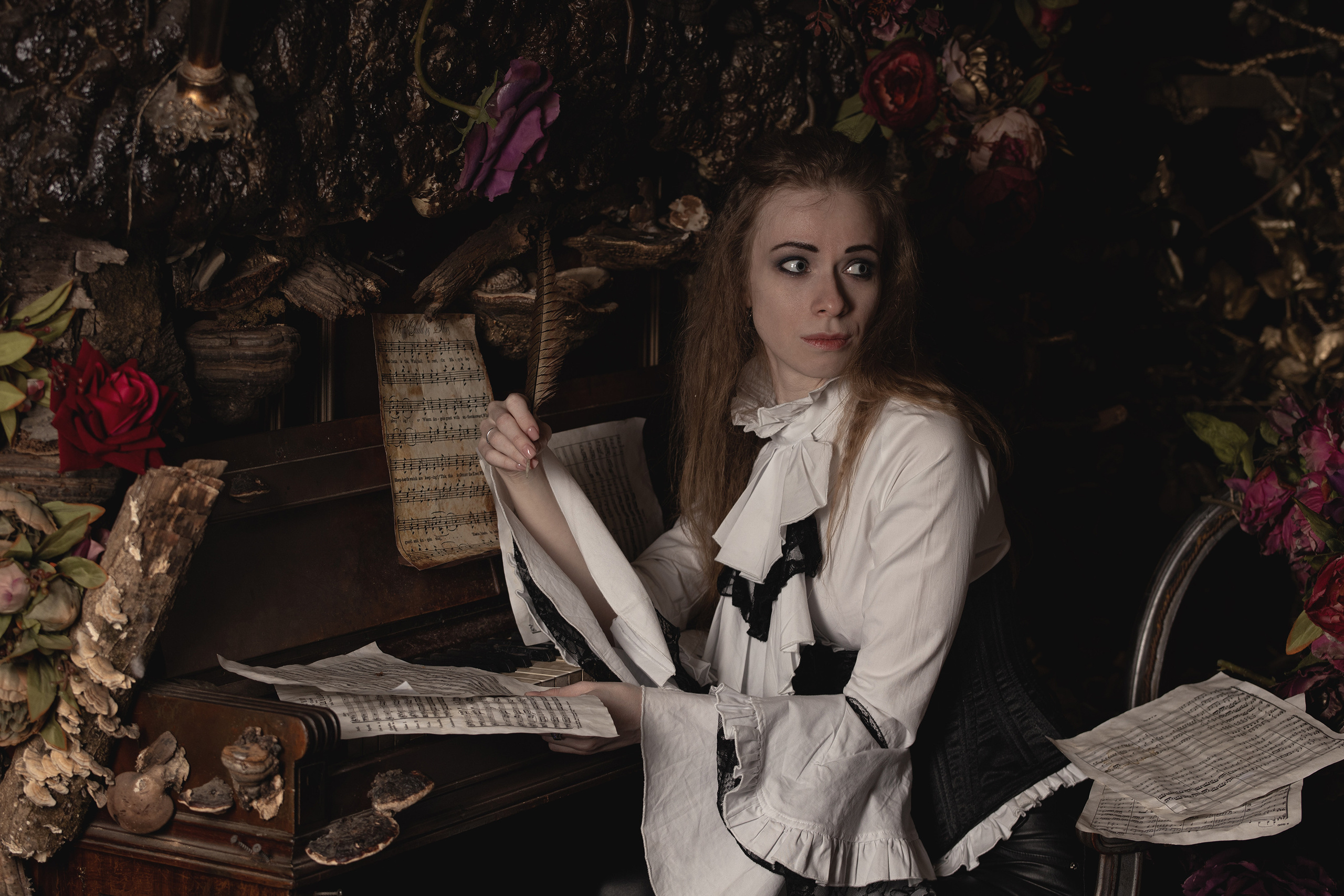 Mozart l'Opéra Rock. Арт-фотограф. Coffelisk