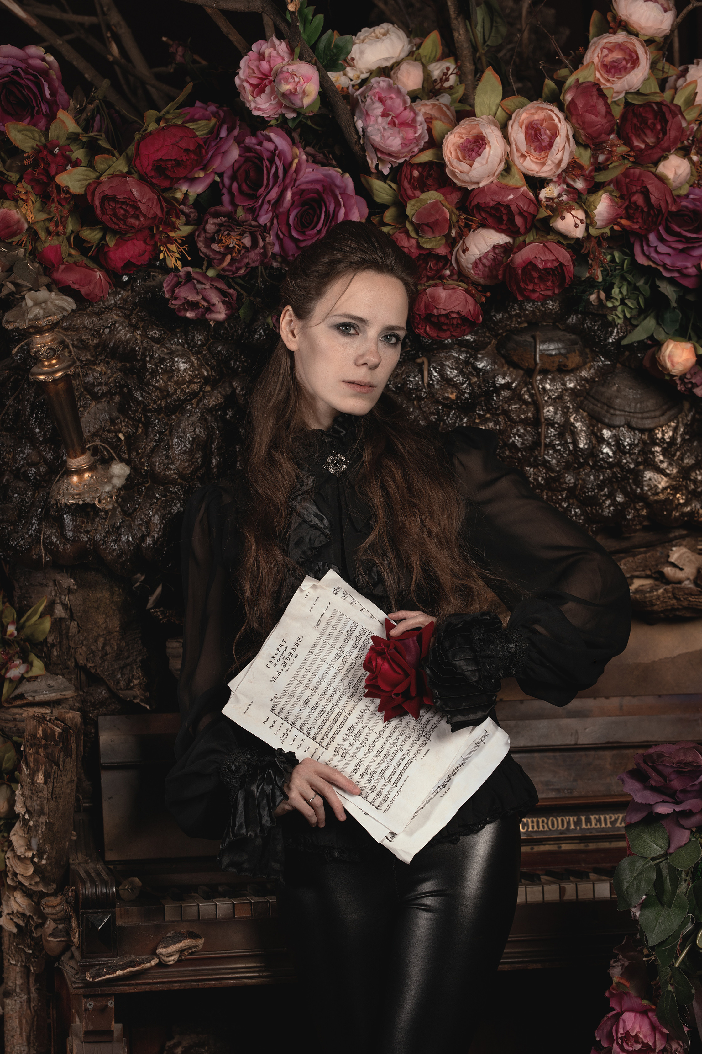 Mozart l'Opéra Rock. Арт-фотограф. Coffelisk