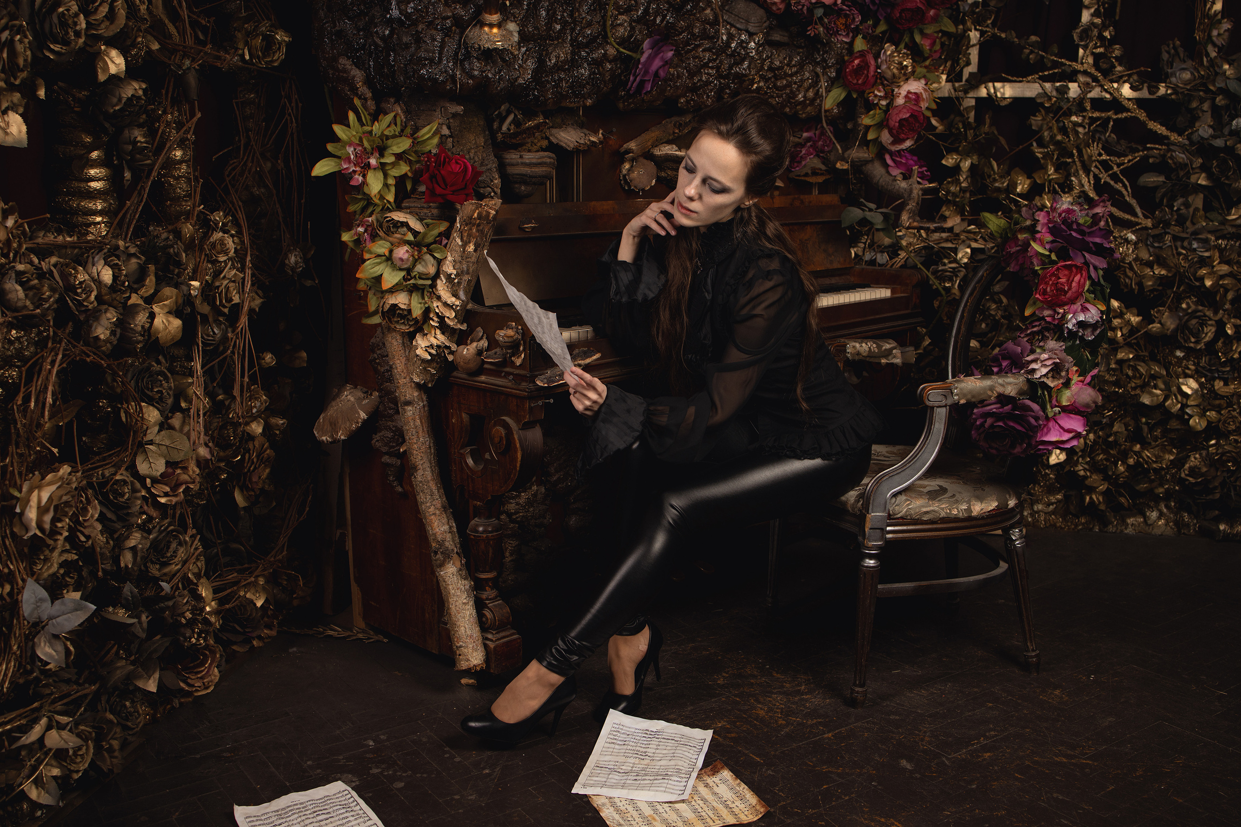 Mozart l'Opéra Rock. Арт-фотограф. Coffelisk