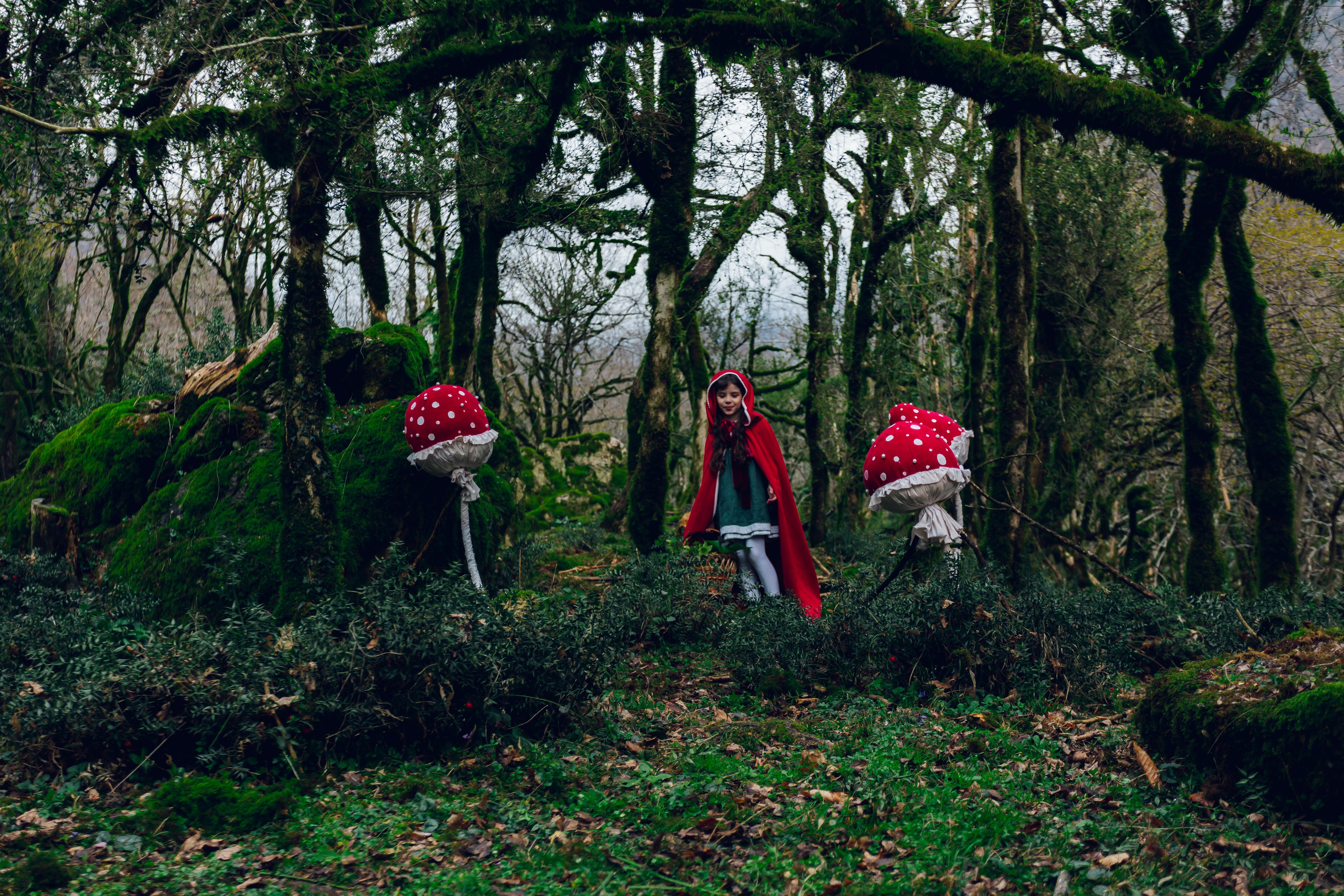 Самшитовая роща. Семейный и художественный фотограф в Тюмени Юлия Логинова