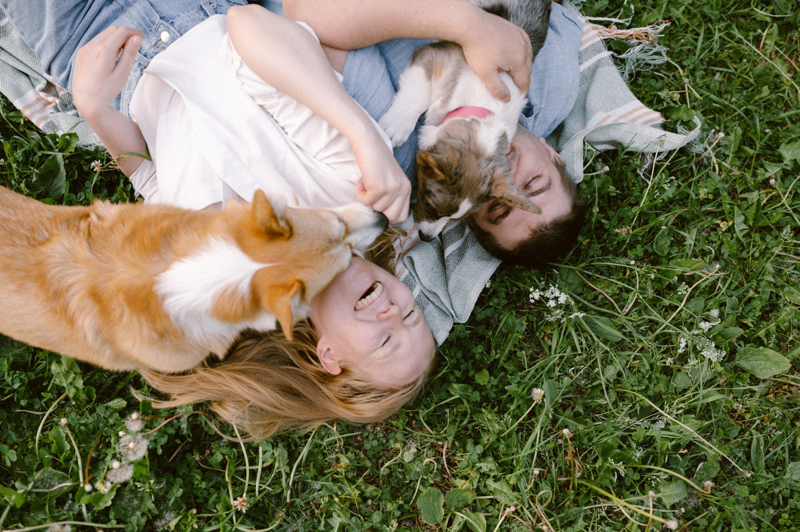Настя и её семья. Фотограф анималист в Москве Ольга Агушева