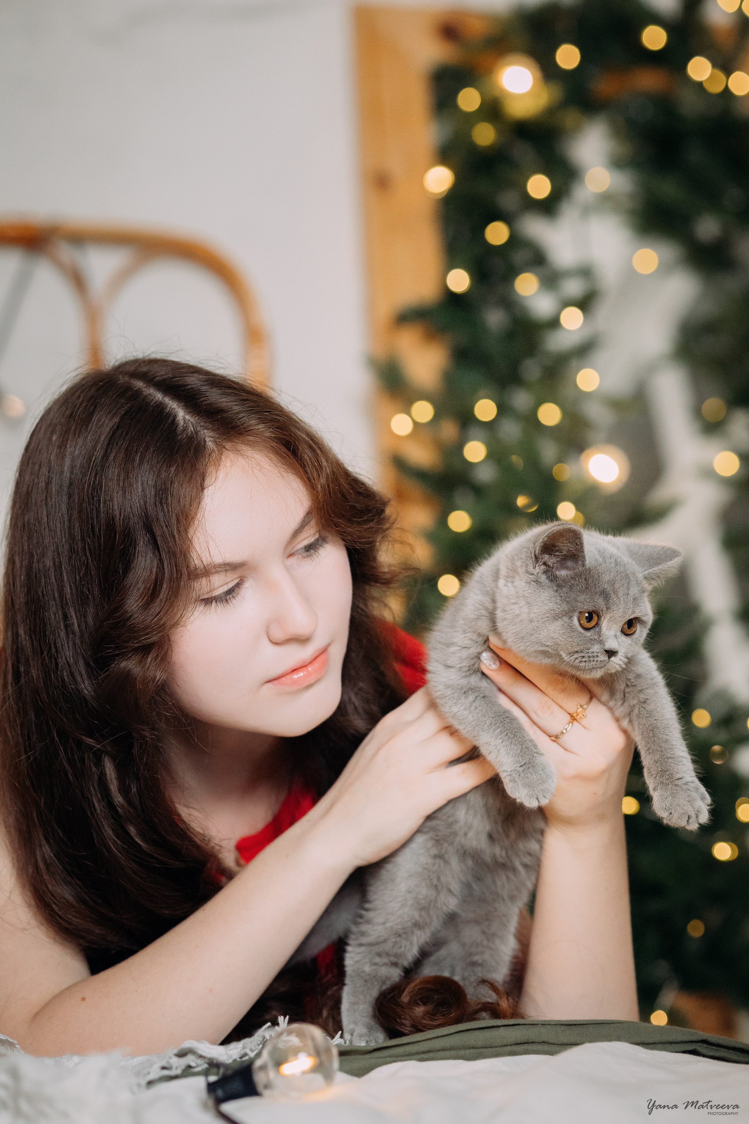 Новый год с котятами. Фотограф Яна Матвеева в Ижевске