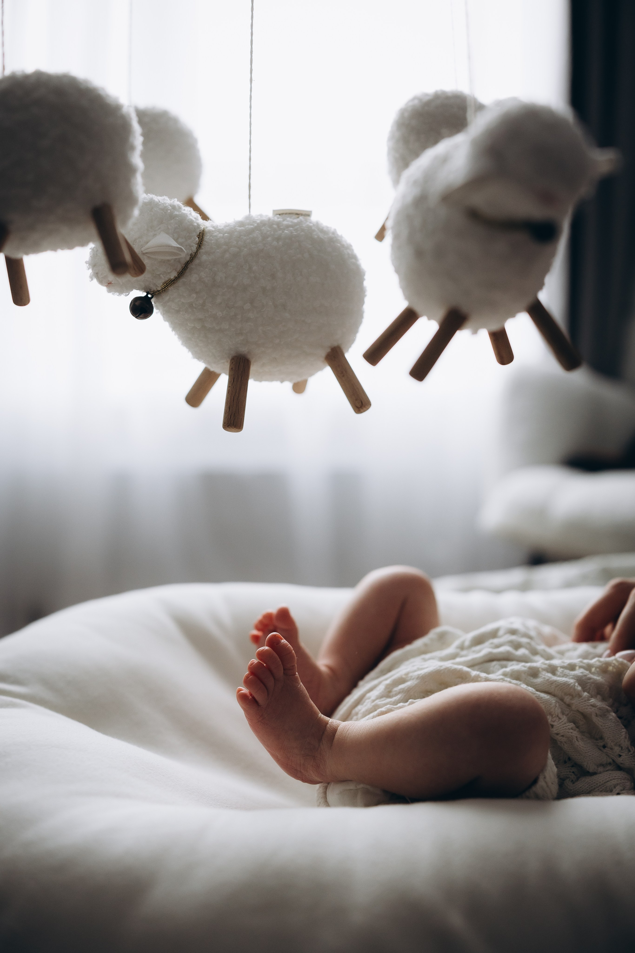 Майя. Евгения Пелипас