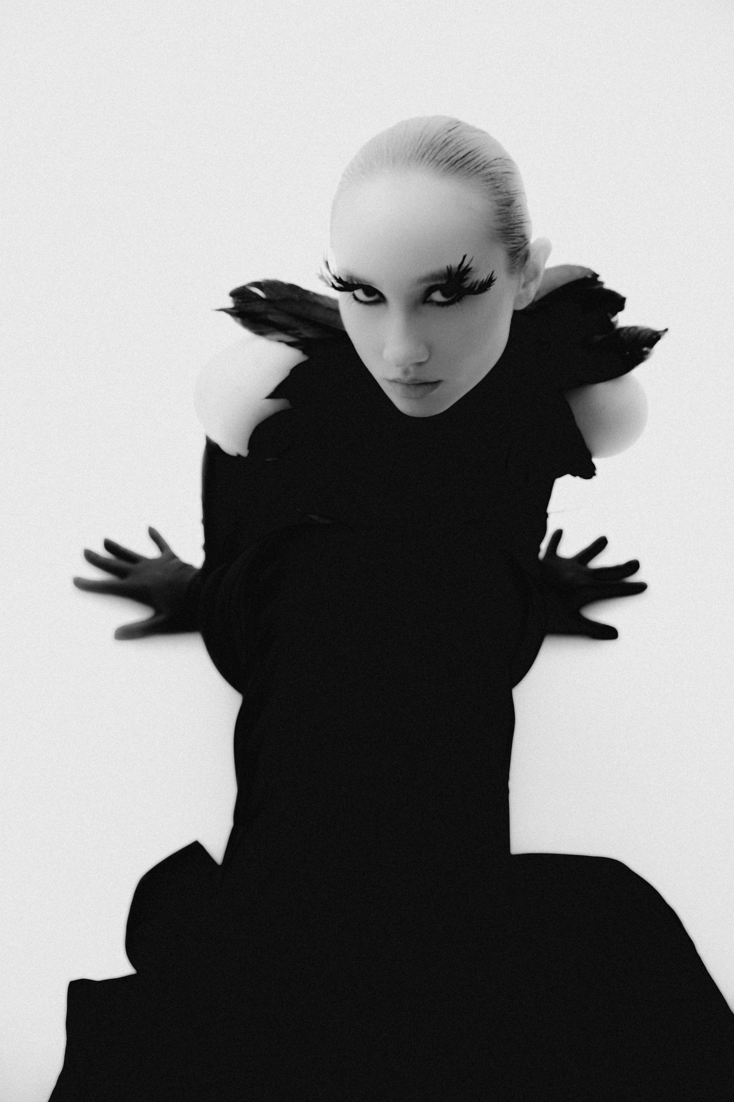 Черный лебедь. Фотограф Санкт-Петербург Лиза Артти